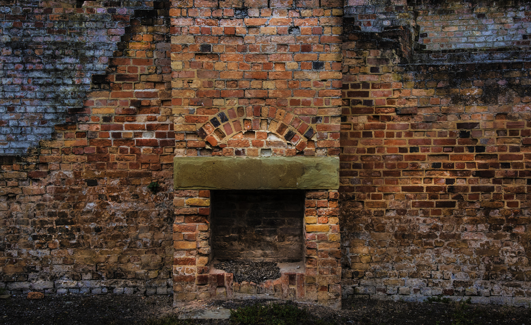 Nikon D810 sample photo. The wall photography