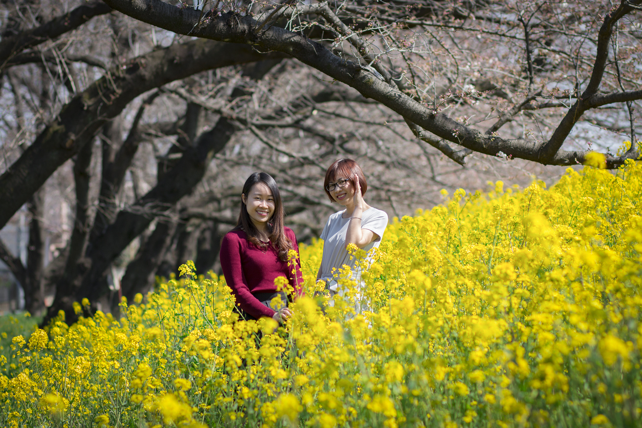 Canon EOS 70D + Canon EF 85mm F1.8 USM sample photo. Getting lost in flowers photography