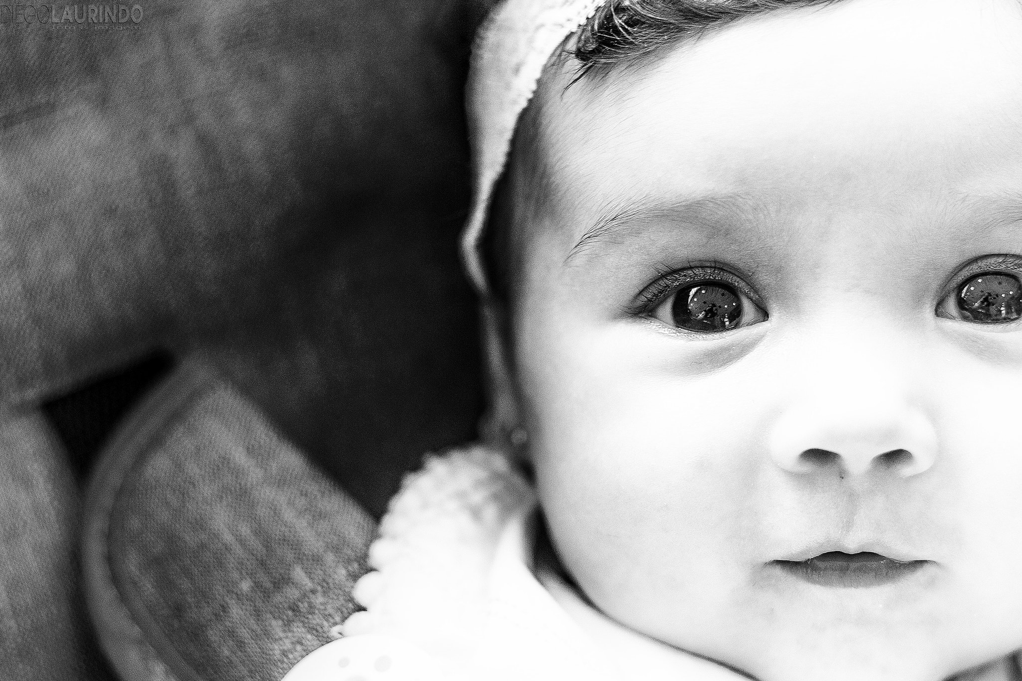 Canon EF 50mm F1.8 II sample photo. Editar photography