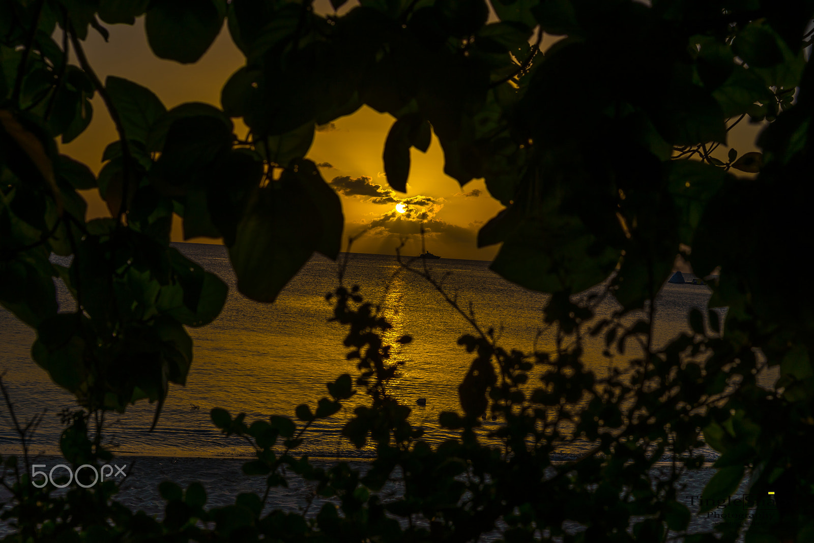 Nikon D600 + Sigma 24-70mm F2.8 EX DG HSM sample photo. Barbados west coast sunset photography