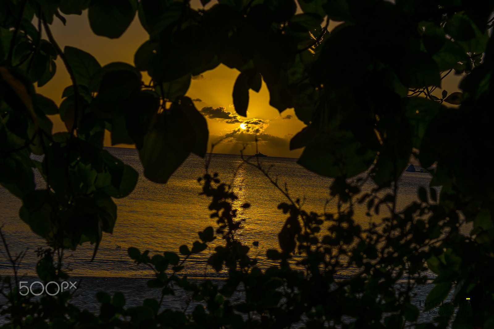 Sigma 24-70mm F2.8 EX DG HSM sample photo. Barbados west coast sunset photography