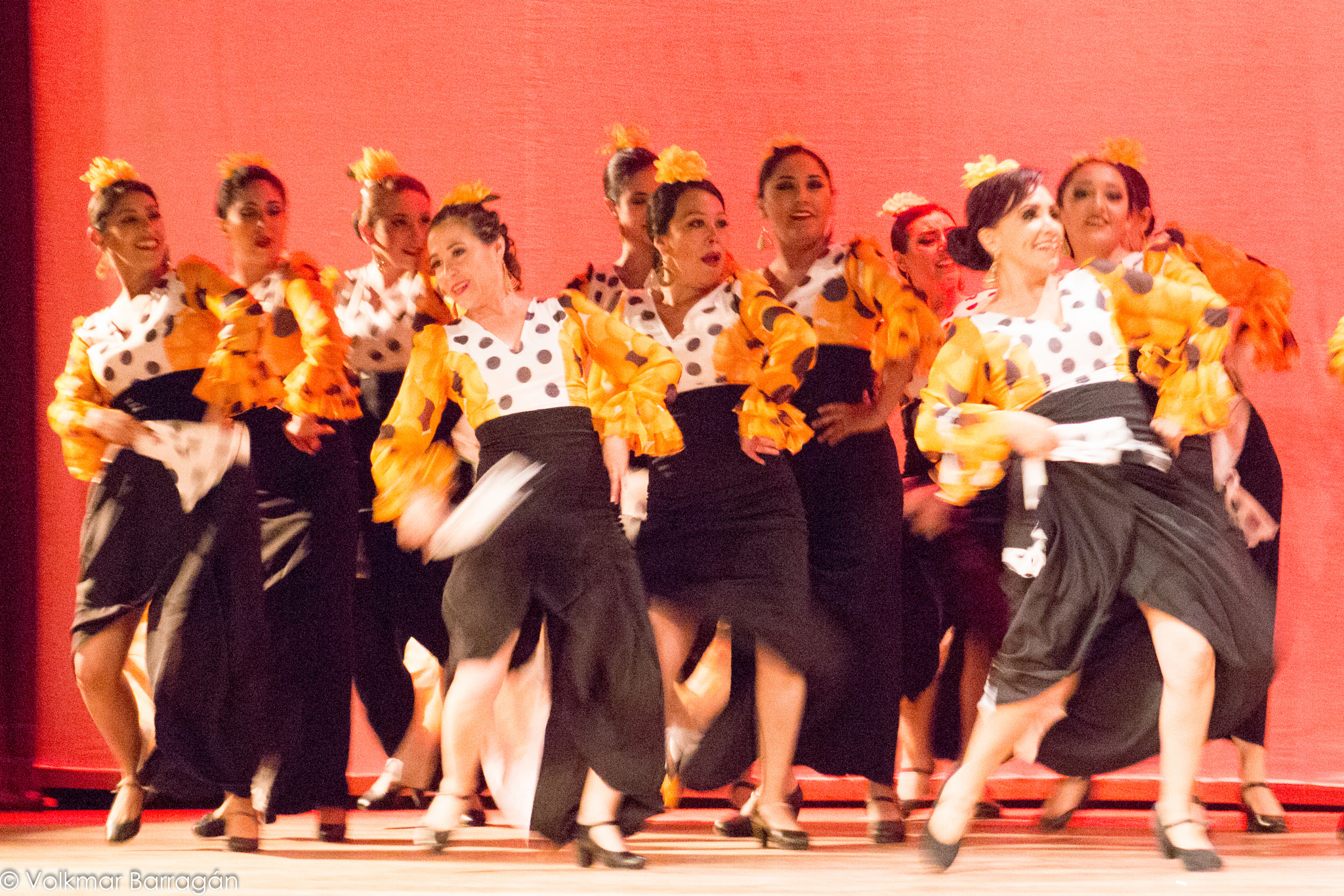 Canon EF 75-300mm f/4-5.6 USM sample photo. Dace photography