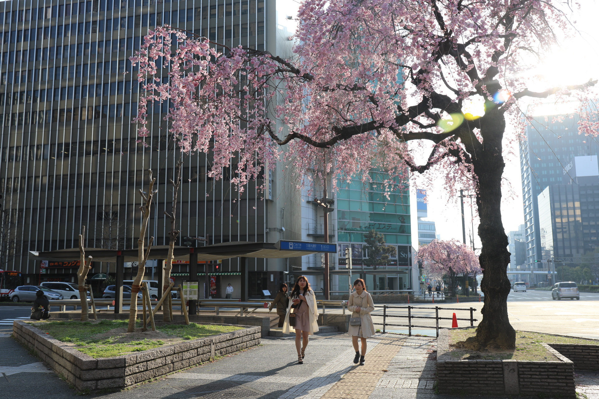 Canon EF 24-70mm F4L IS USM sample photo