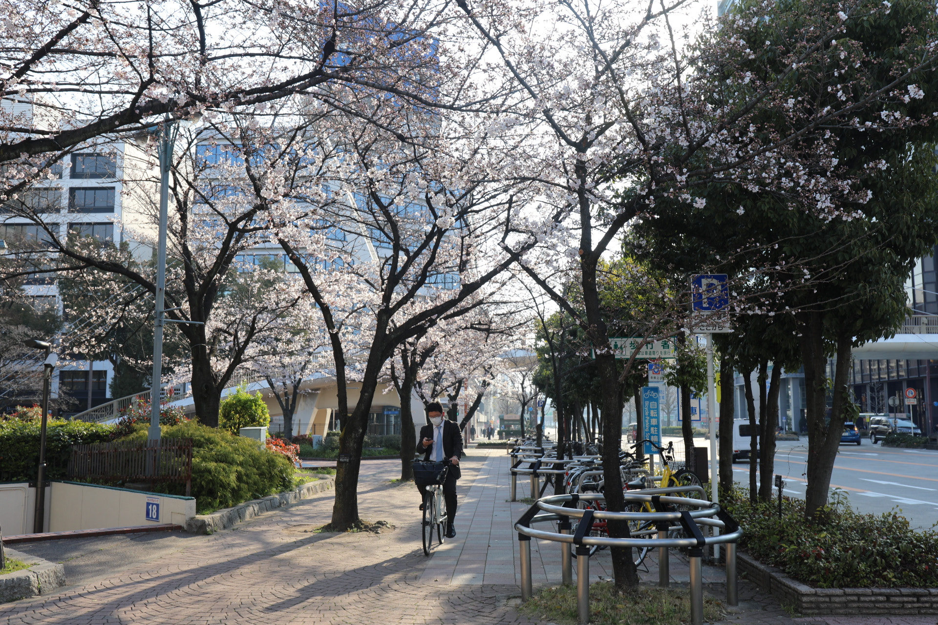 Canon EF 24-70mm F4L IS USM sample photo