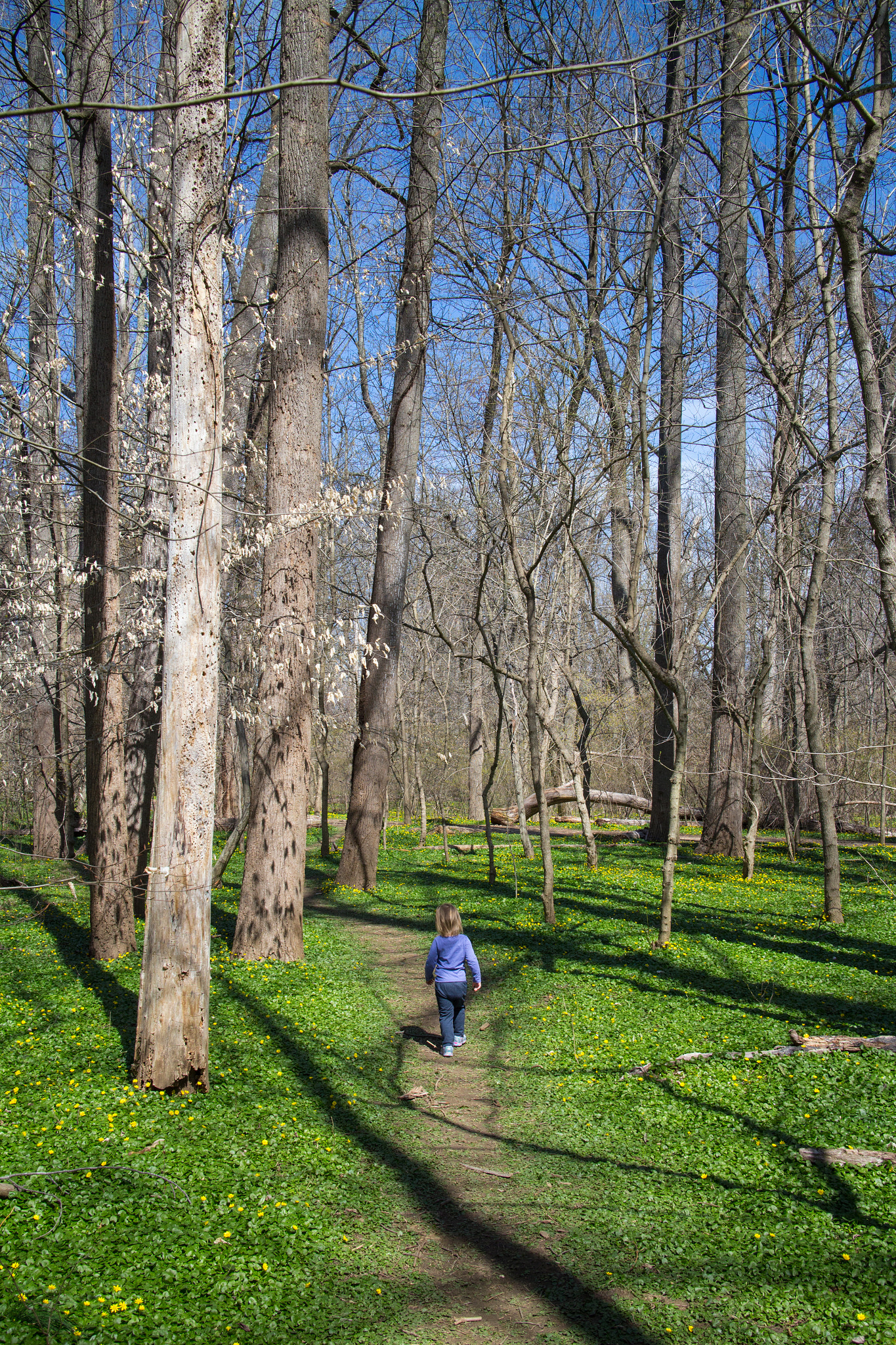 Canon EF-M 22mm F2 STM sample photo. Spring is emerging photography