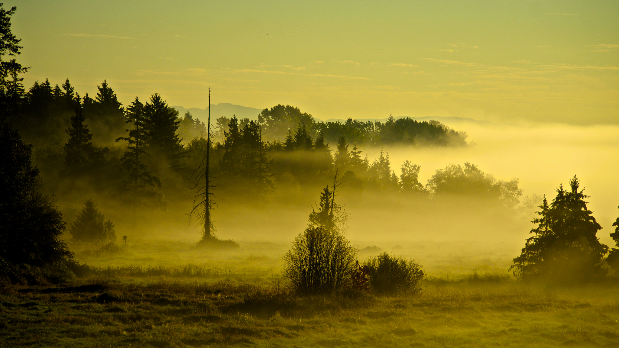 Pentax K-5 sample photo. Creeping mist 2 photography