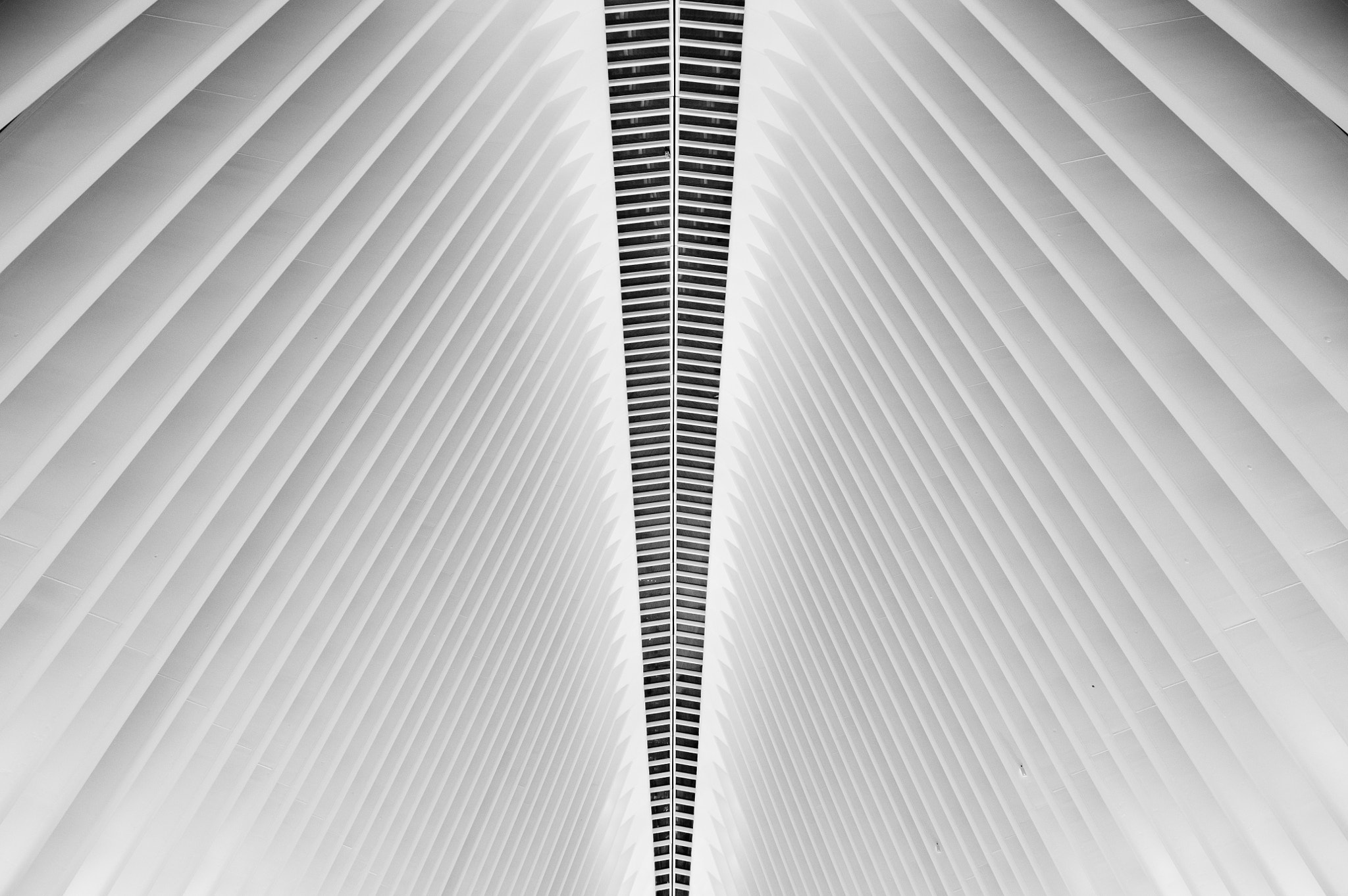 Nikon AF-S Nikkor 24-70mm F2.8G ED sample photo. New york city photography