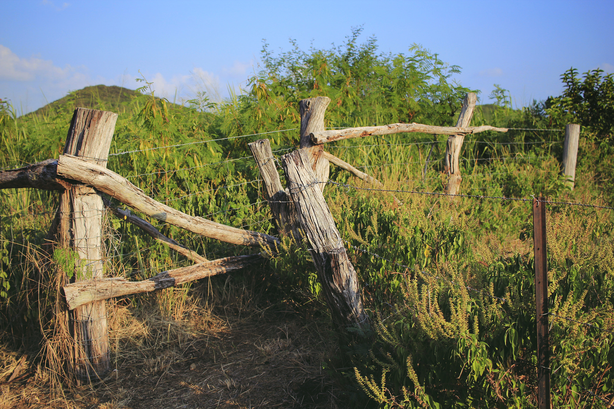 Canon EF-S 24mm F2.8 STM sample photo. Contryside photography