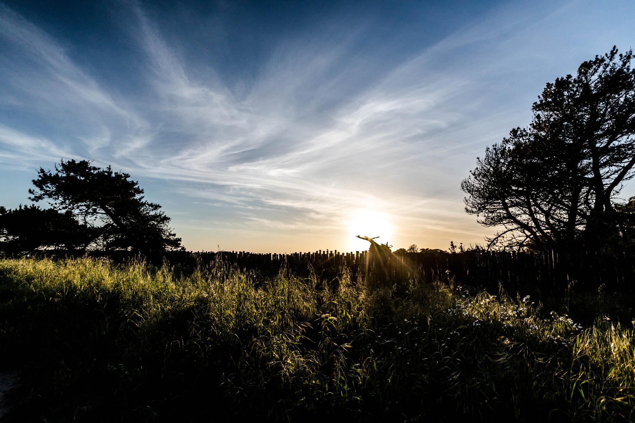 Canon EF 16-35mm F2.8L II USM sample photo. Ba photography
