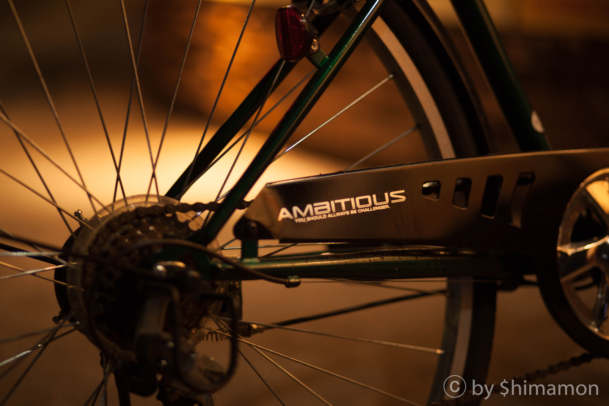 Canon EF 85mm F1.8 USM sample photo