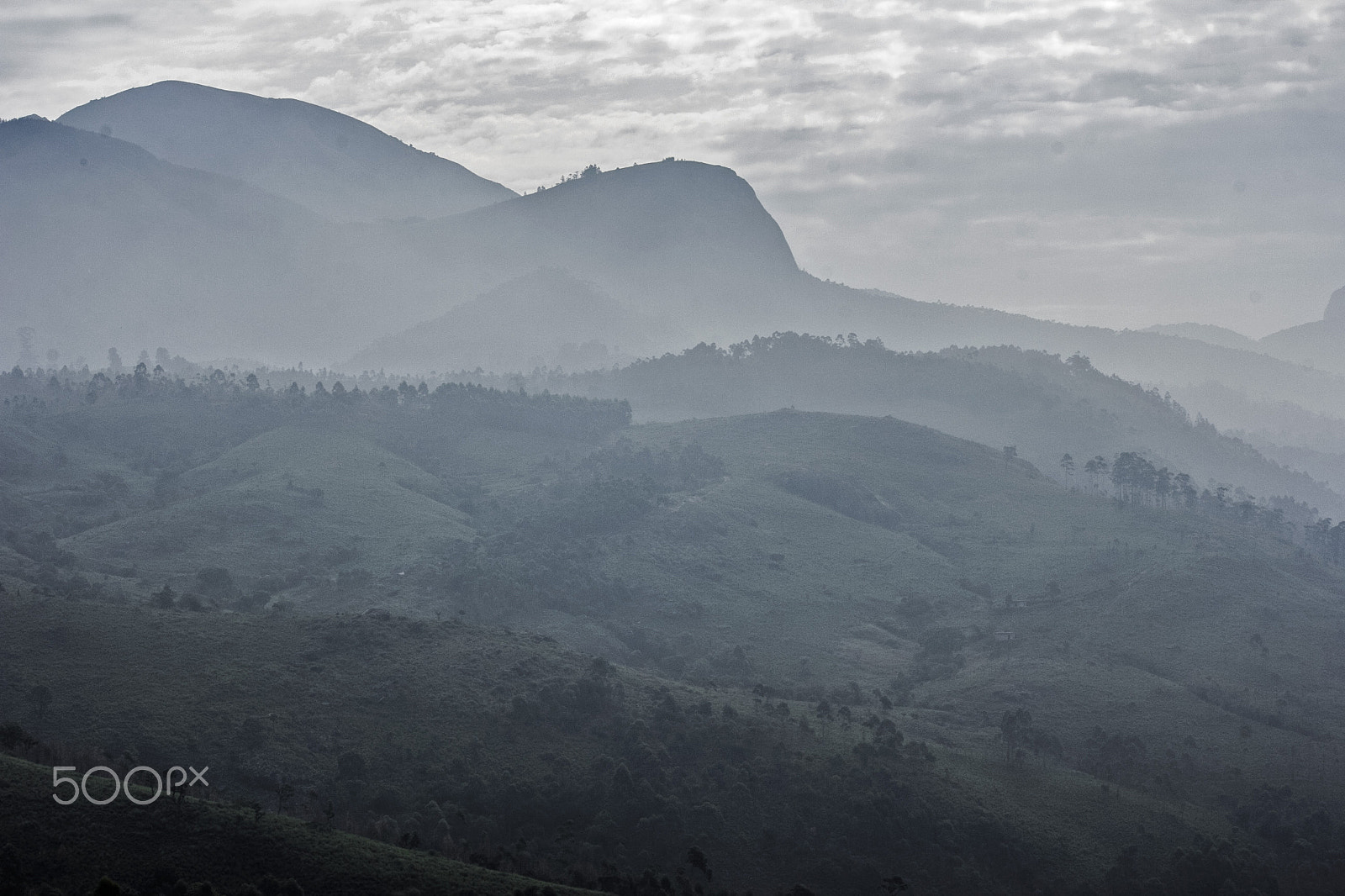Canon EF-S 55-250mm F4-5.6 IS II sample photo. Misty morning photography