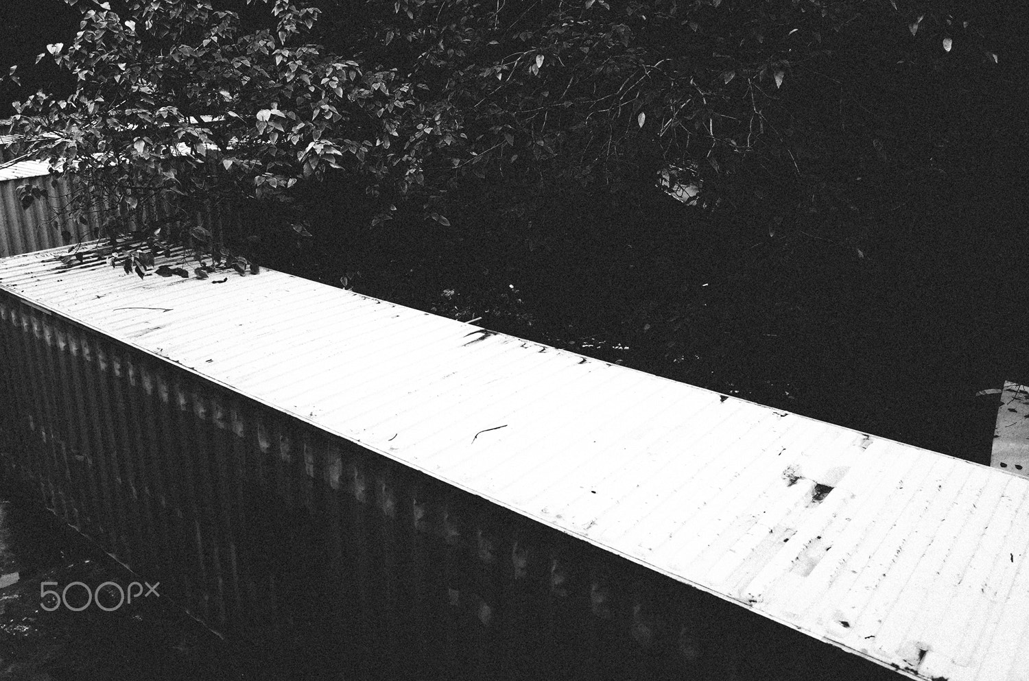 Ricoh GR II + GR Lens sample photo. Wandering in a lonely world photography