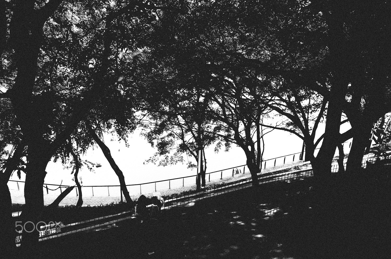 Ricoh GR II + GR Lens sample photo. Wandering in a lonely world photography