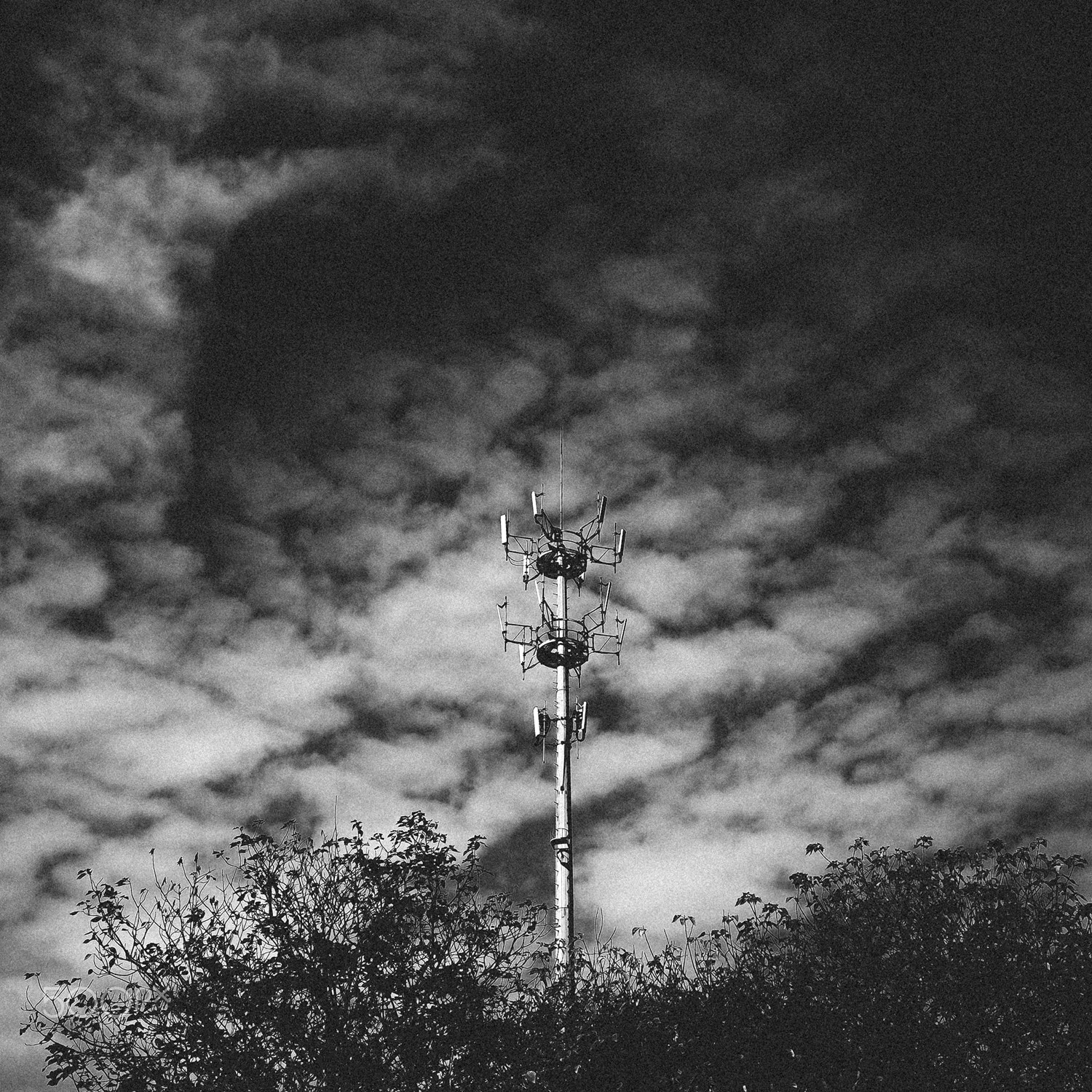 Ricoh GR II + GR Lens sample photo. Wandering in a lonely world photography