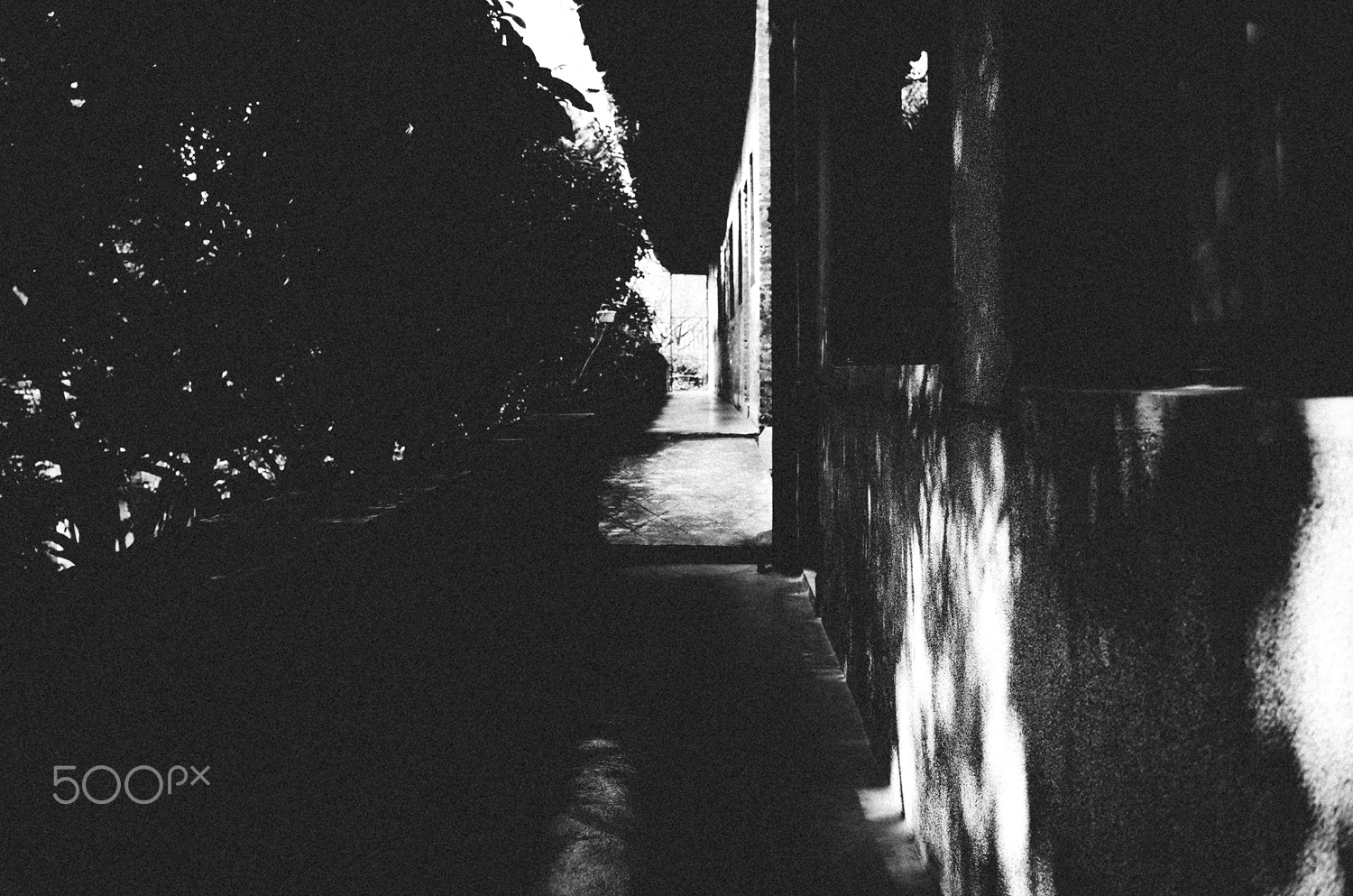 Ricoh GR II + GR Lens sample photo. Wandering in a lonely world photography