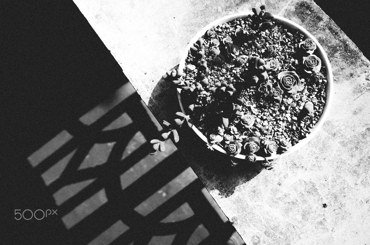 Ricoh GR II + GR Lens sample photo. Wandering in a lonely world photography