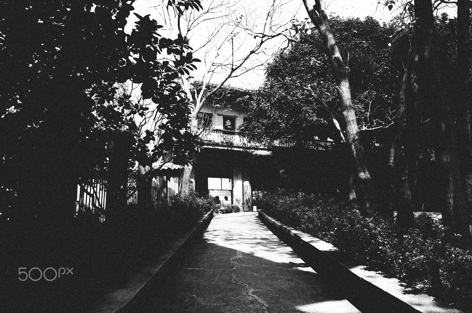 Ricoh GR II + GR Lens sample photo. Wandering in a lonely world photography