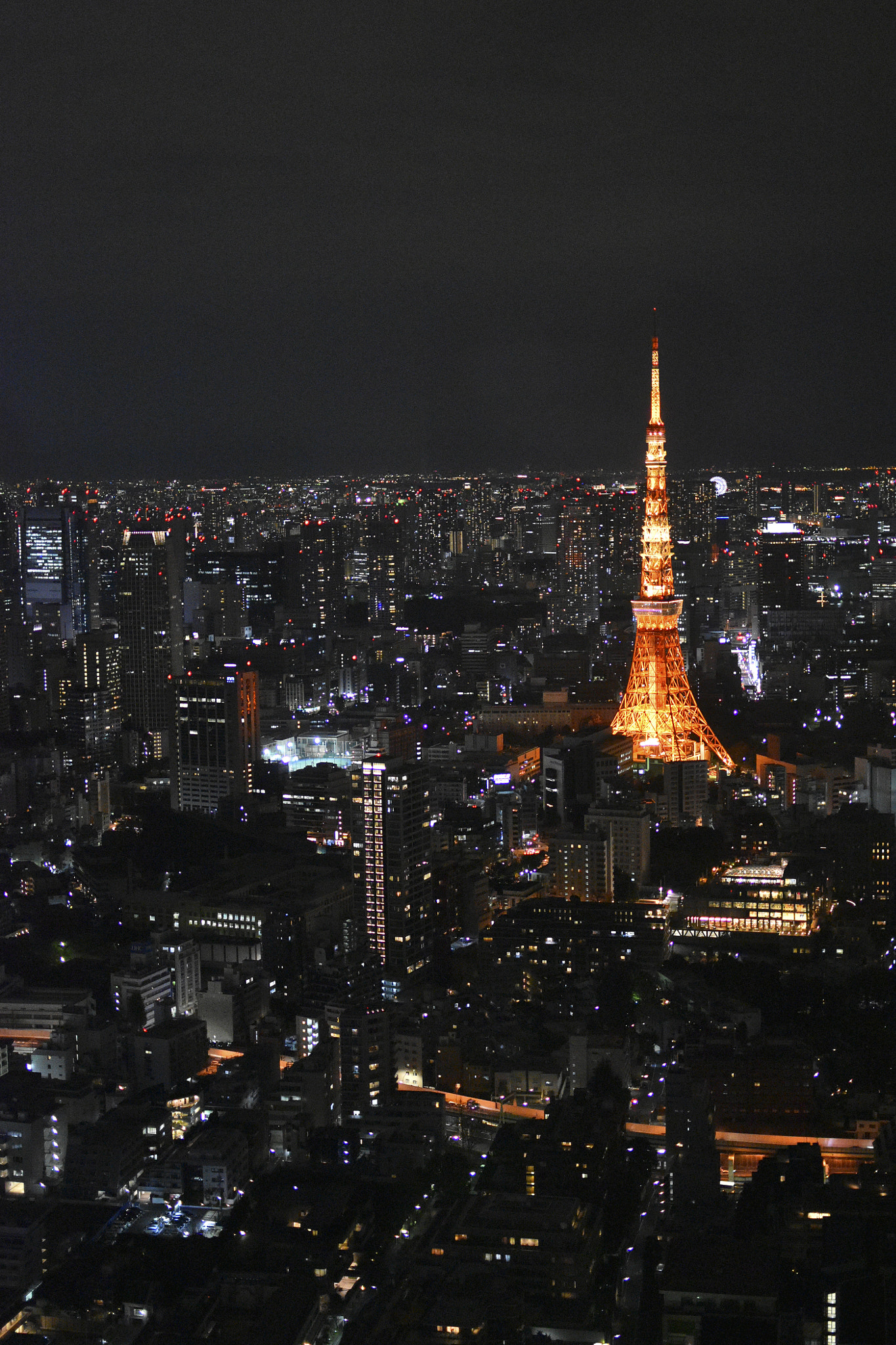 Nikon D5500 + Nikon AF-S DX Nikkor 35mm F1.8G sample photo. Tokyo, night, light photography