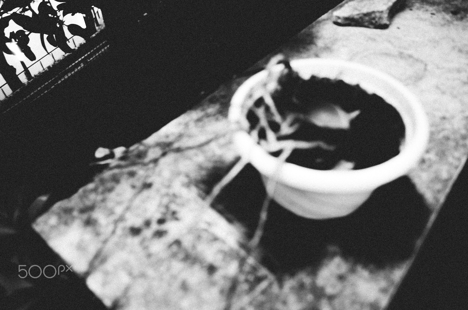 Ricoh GR II + GR Lens sample photo. Wandering in a lonely world photography