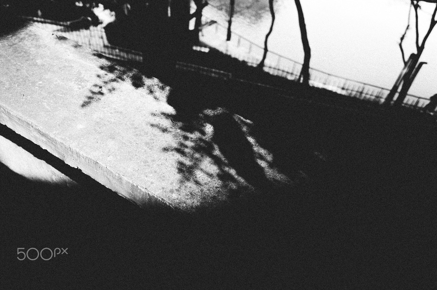 Ricoh GR II + GR Lens sample photo. Wandering in a lonely world photography