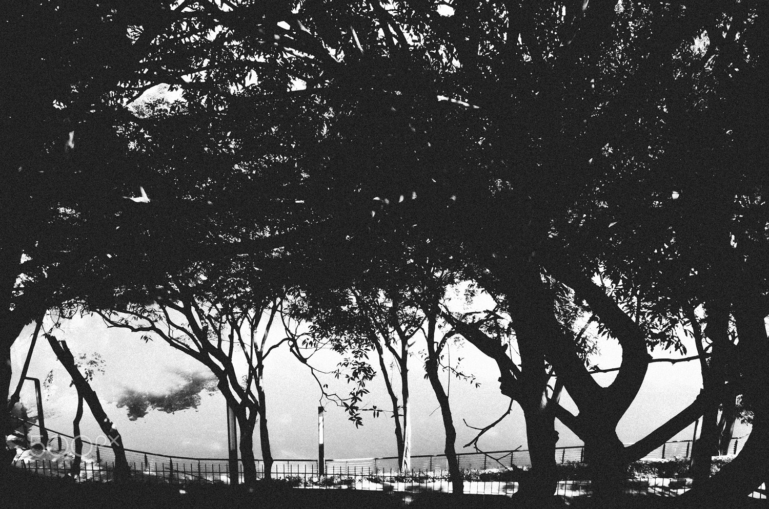 Ricoh GR II + GR Lens sample photo. Wandering in a lonely world photography