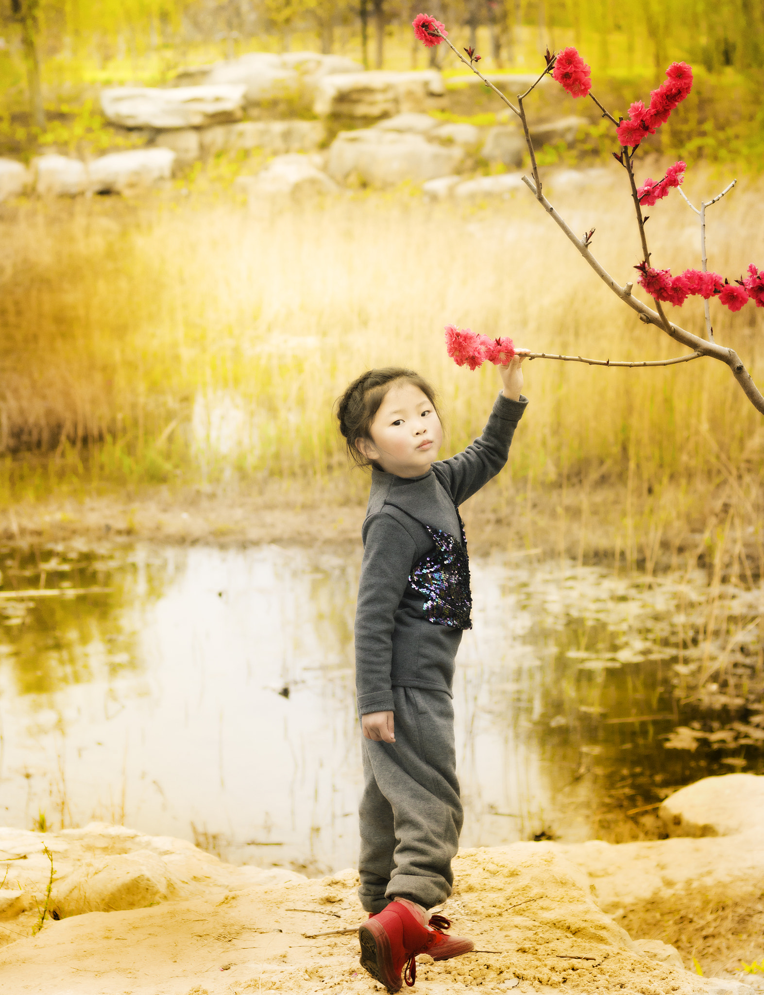 Canon EOS 760D (EOS Rebel T6s / EOS 8000D) + Canon EF 50mm F1.8 II sample photo. Img photography