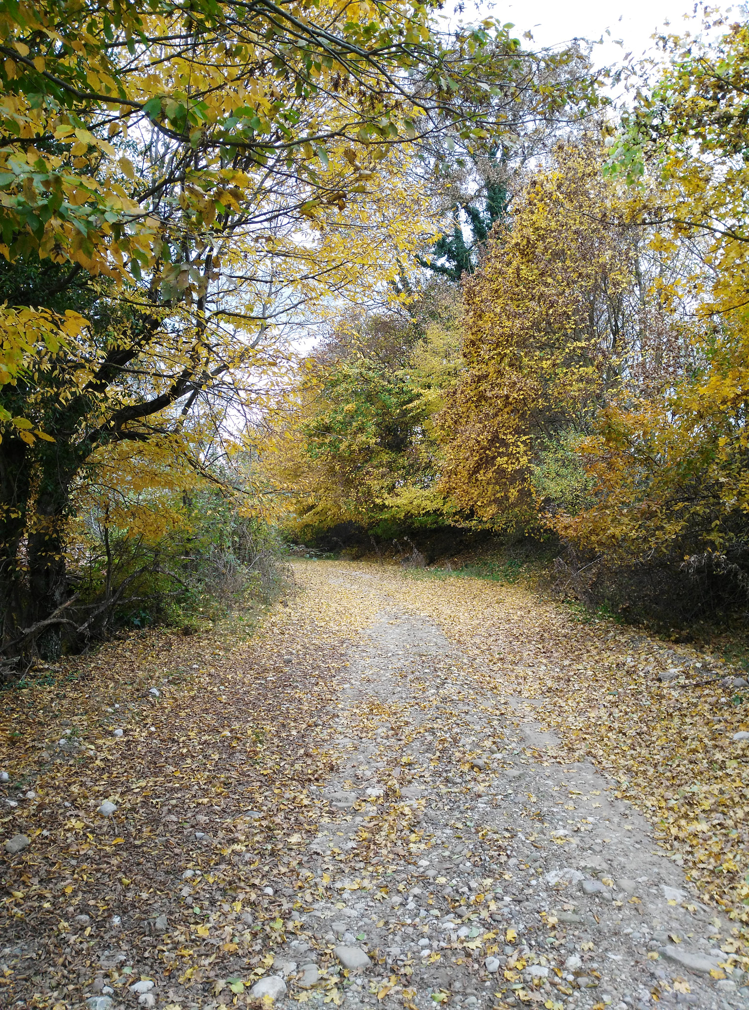 HUAWEI G7-L01 sample photo