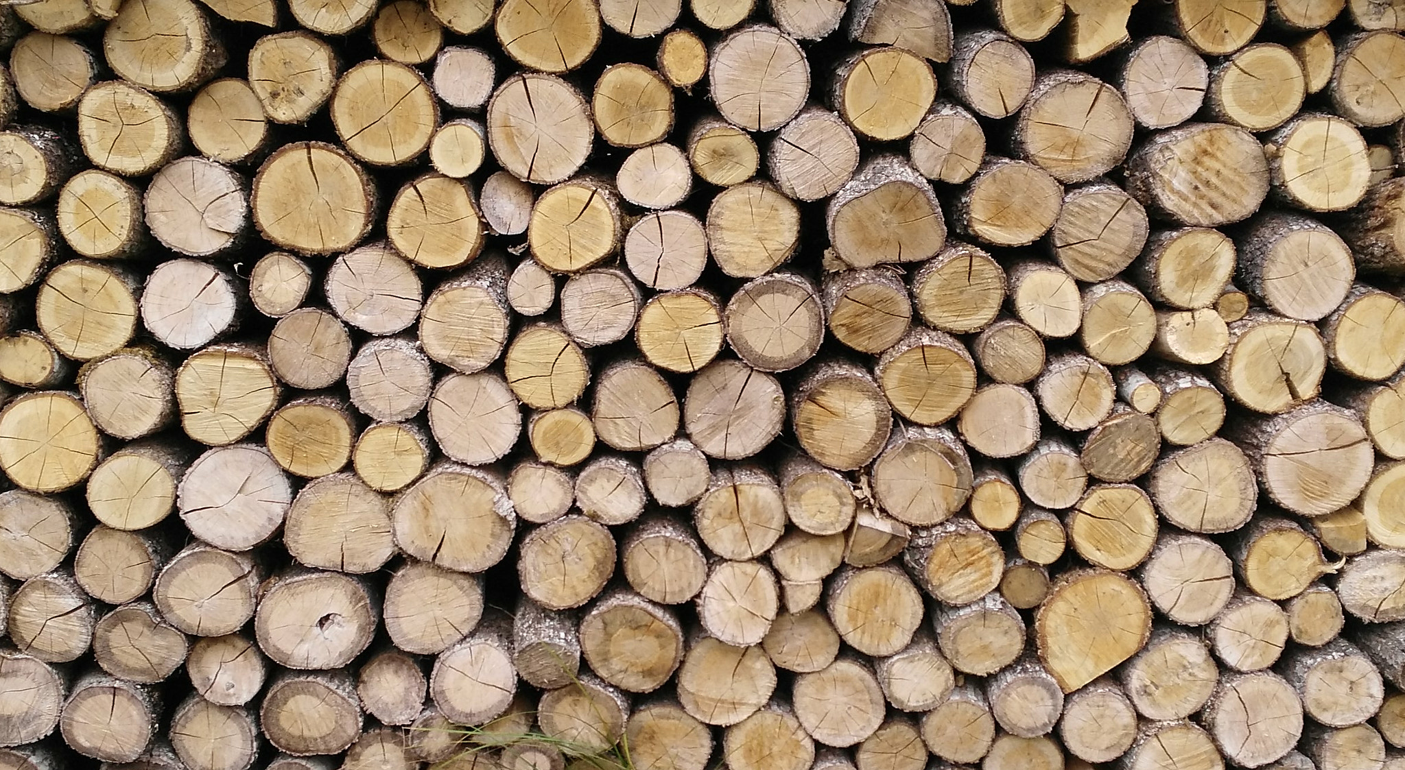 HUAWEI G7-L01 sample photo. Woodwork photography