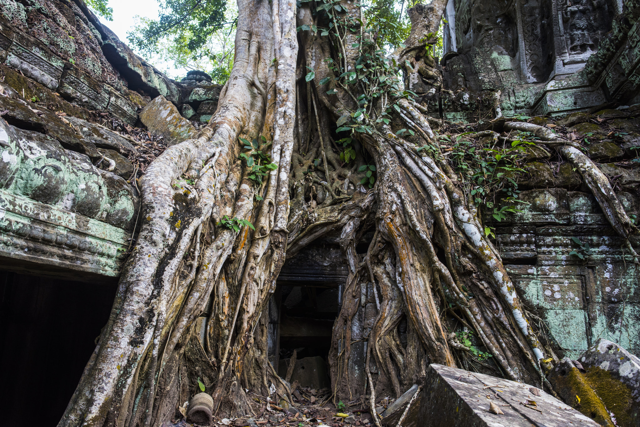 Nikon D810 sample photo. Smile of angkot wat photography