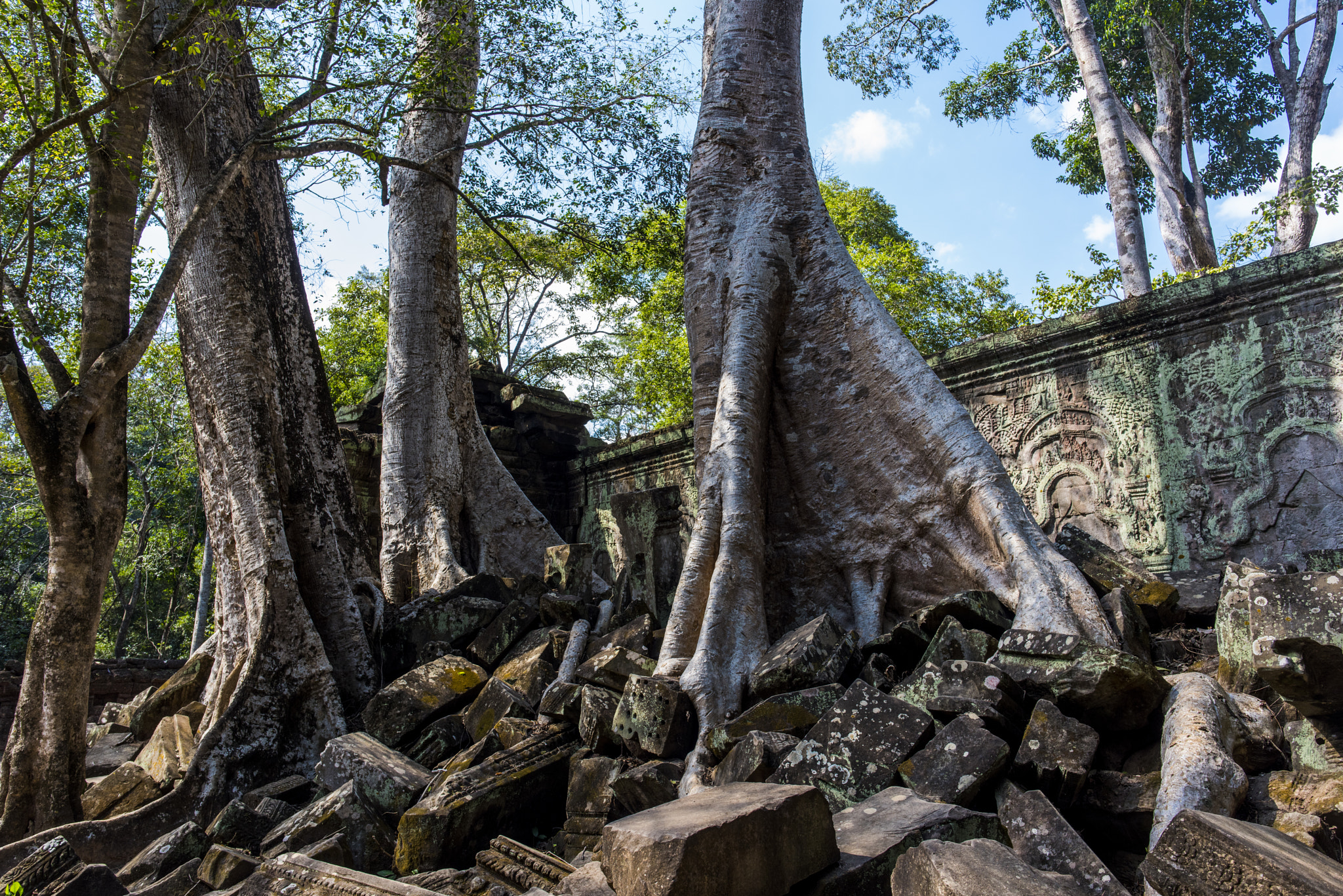 Nikon D810 sample photo. Smile of angkot wat photography