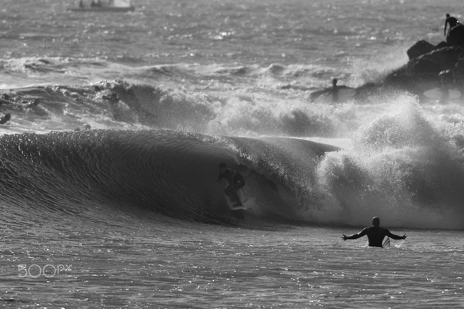 Canon EOS 70D + Canon EF 300mm f/2.8L + 2x sample photo. What the #$%&!!!! photography