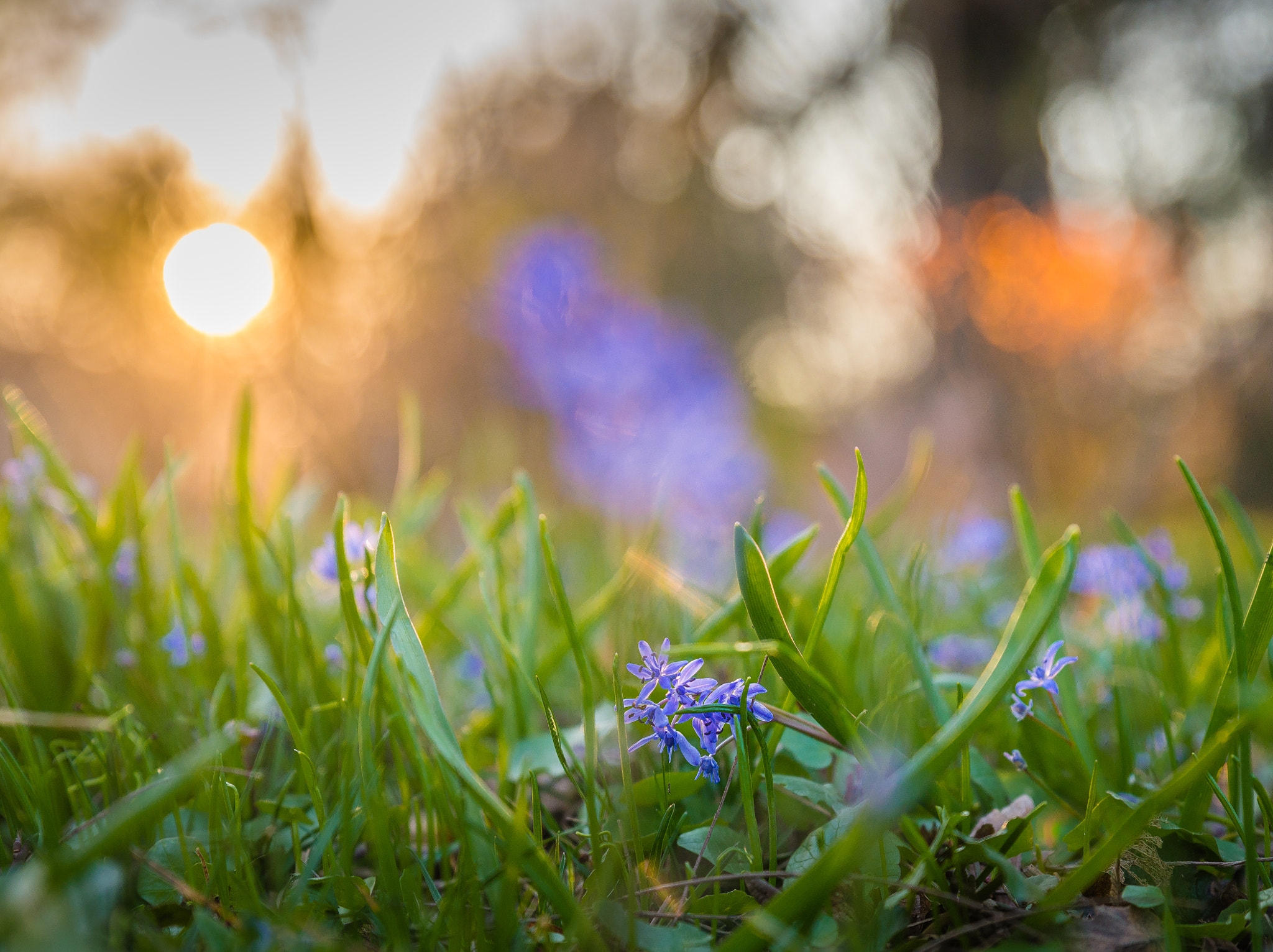 Tamron SP 24-70mm F2.8 Di VC USD sample photo. The warm light of the sun photography