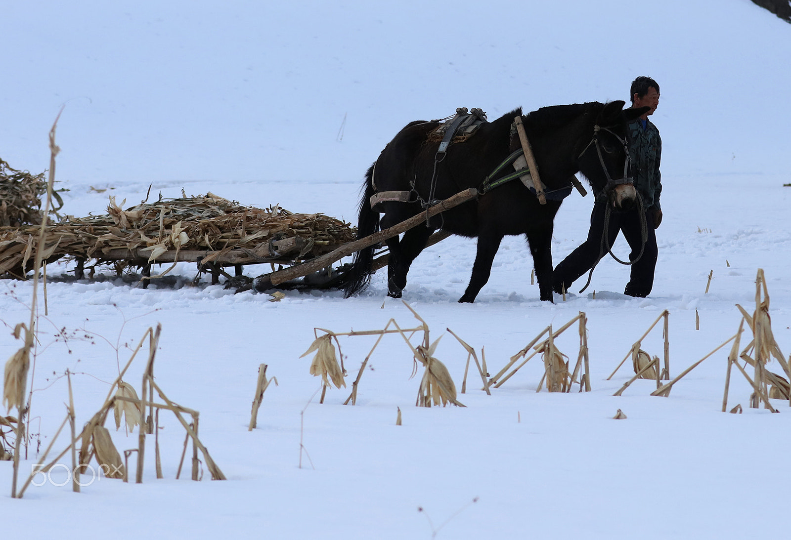 Canon EOS 5DS R sample photo. Mara slope photography