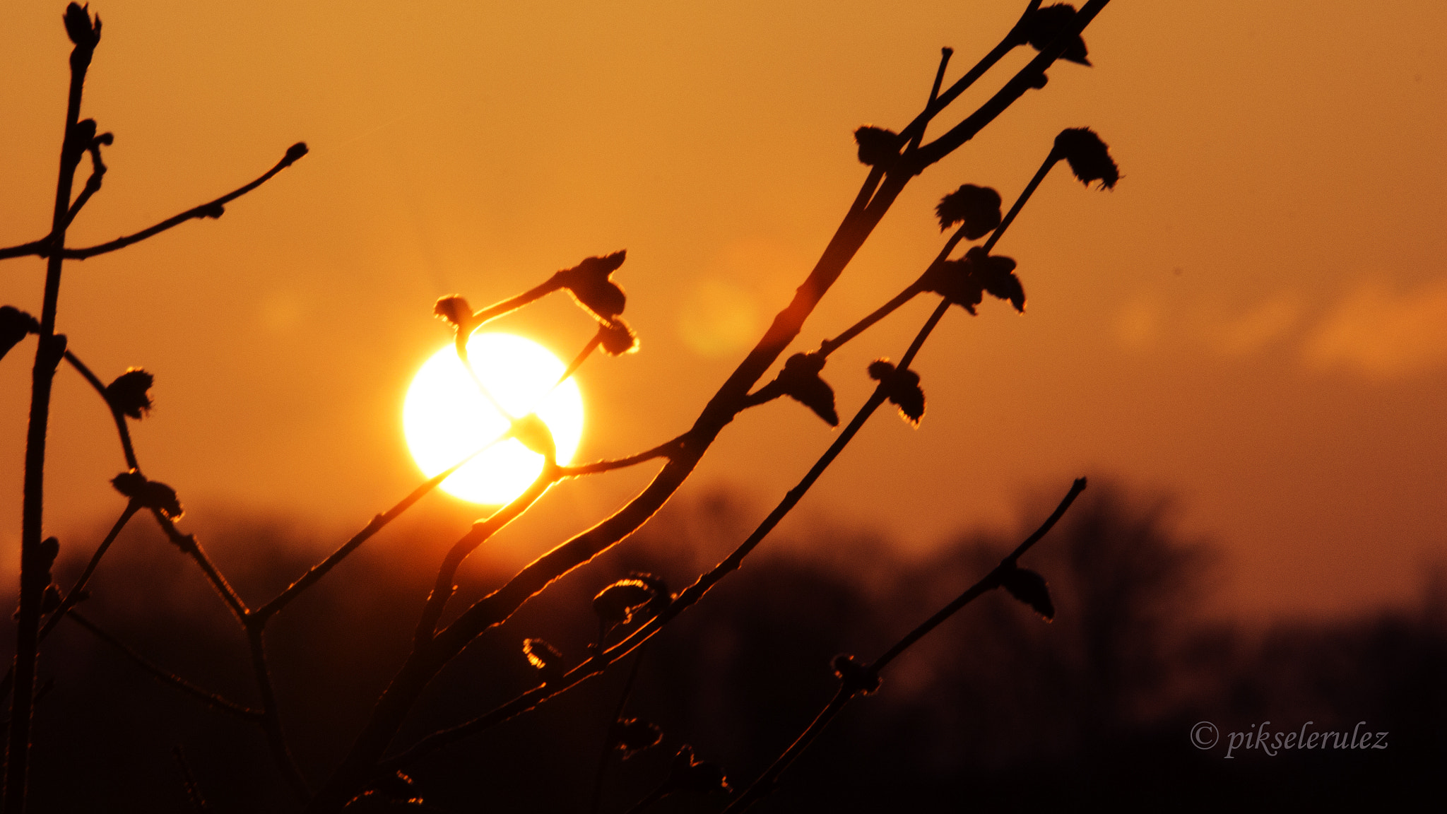 Canon EF 70-200mm F2.8L USM sample photo. Sunset. photography