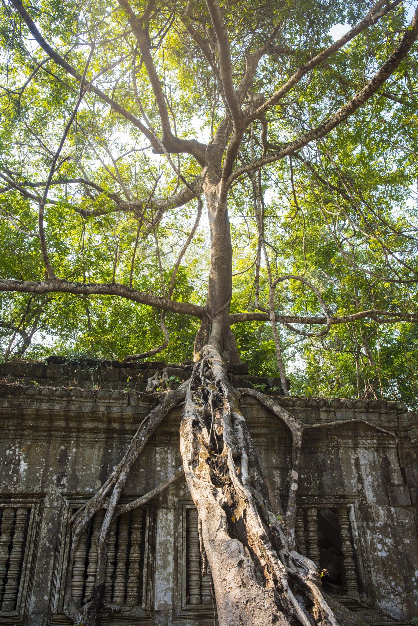 Nikon D810 sample photo. Smile of angkot wat photography