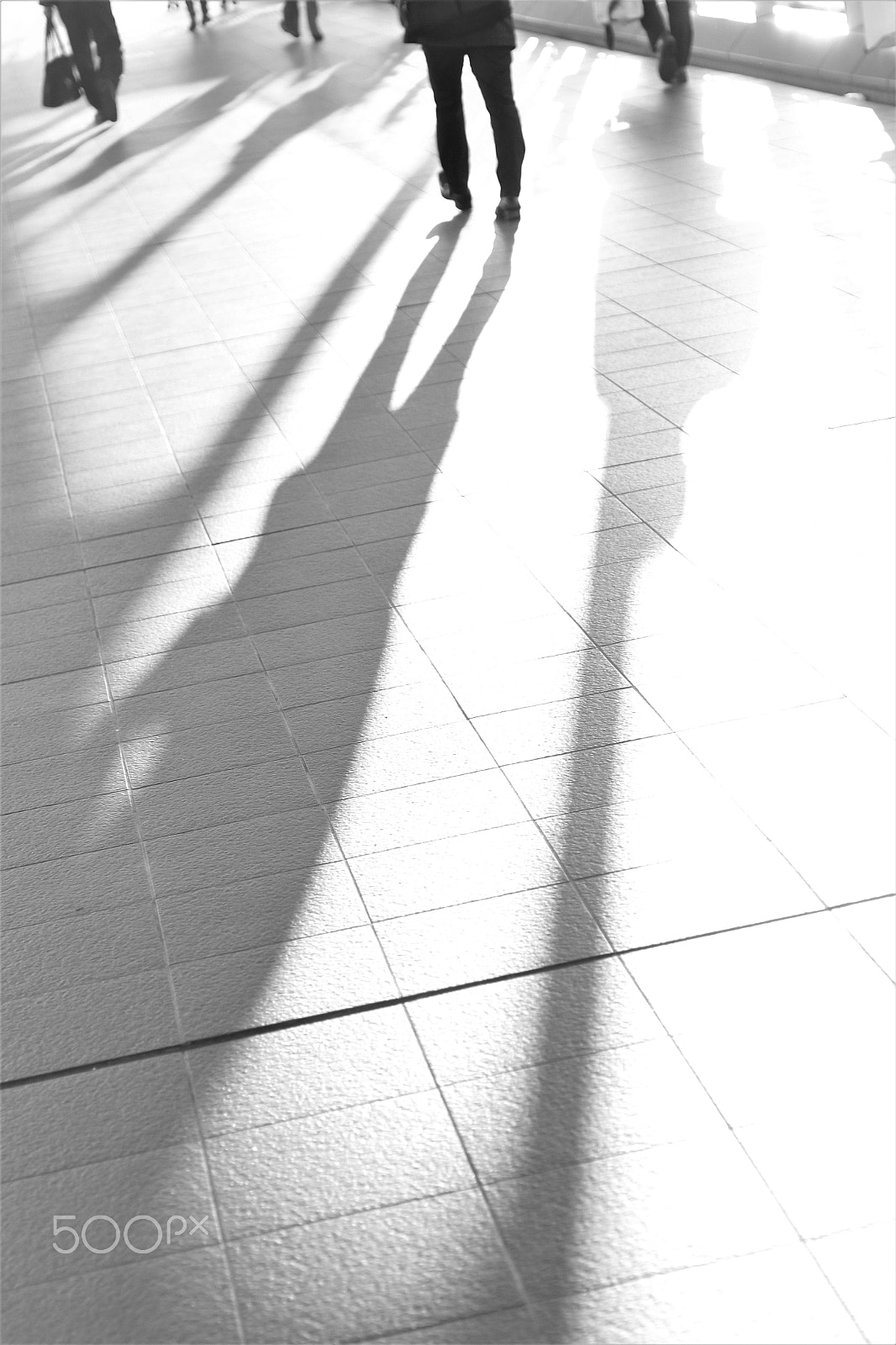 Canon EOS 60D sample photo. The shadow photography