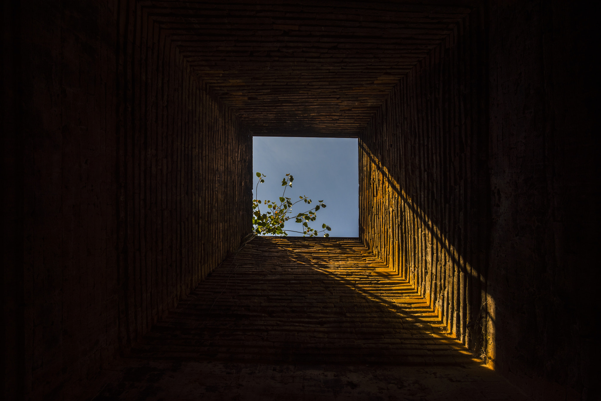 Nikon D810 sample photo. Smile of angkot wat photography