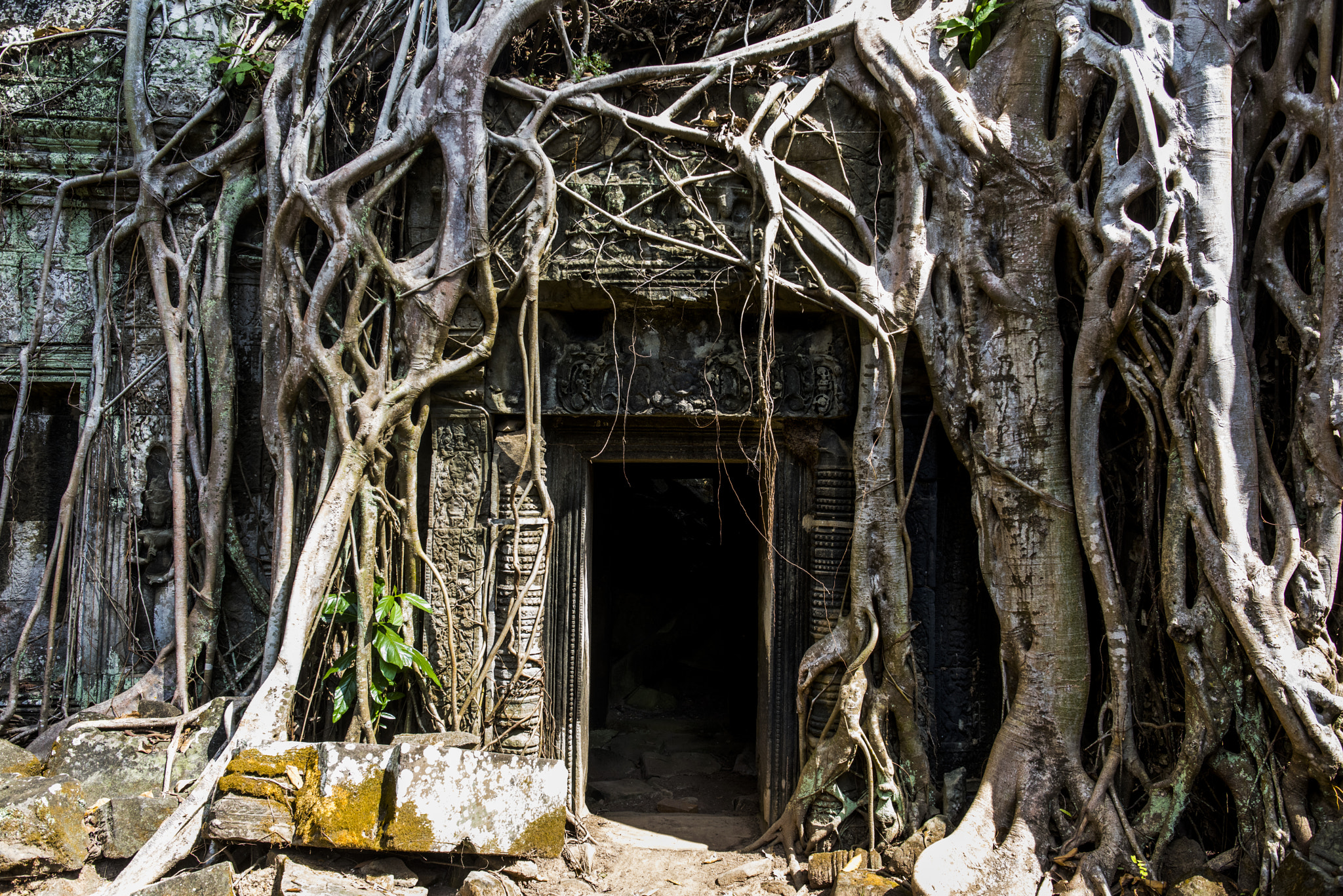 Nikon D810 sample photo. Smile of angkot wat photography
