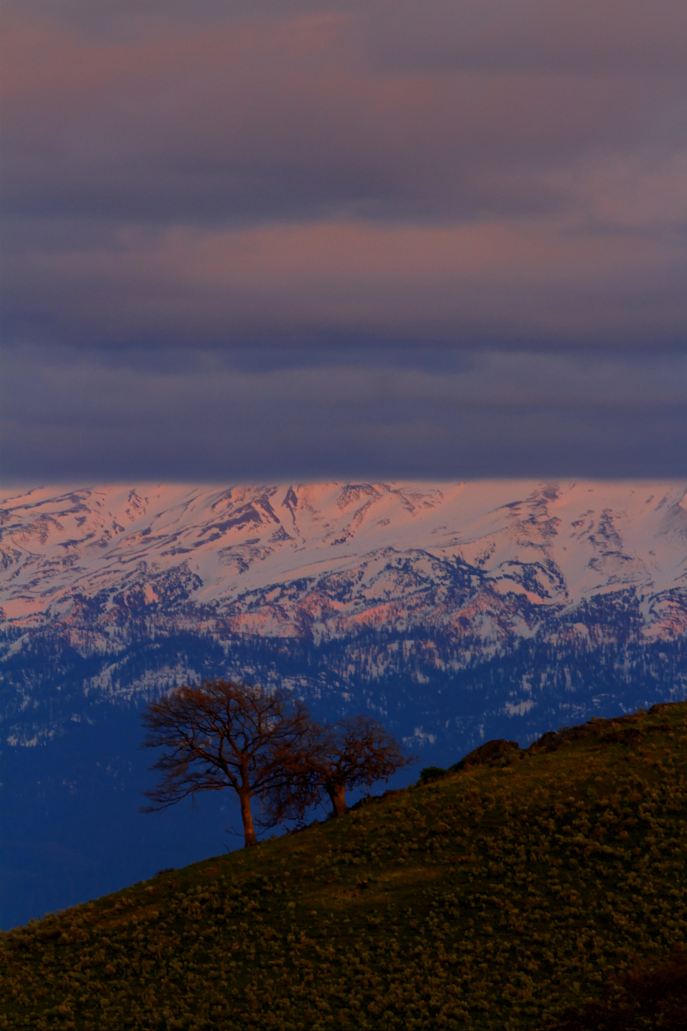 Canon EF 100-400mm F4.5-5.6L IS USM sample photo. Mt. shasta obscured by clouds. photography