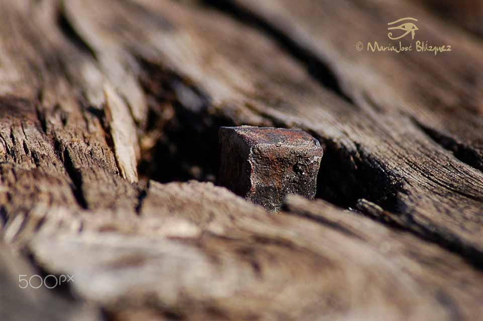 Nikon D40 sample photo. Cuando un clavo sobresale ... photography