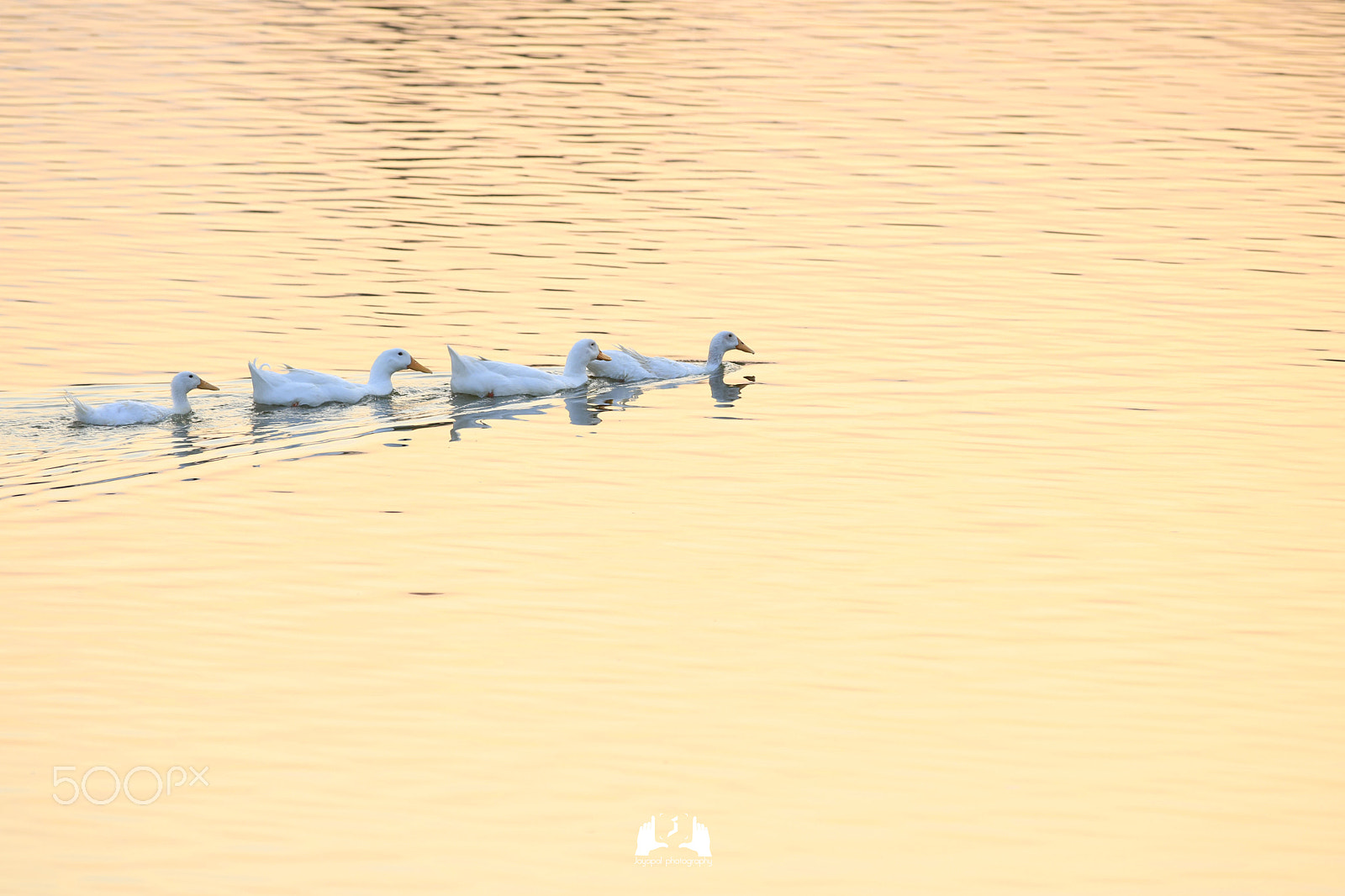 Canon EOS 750D (EOS Rebel T6i / EOS Kiss X8i) sample photo. Shangi tank photography