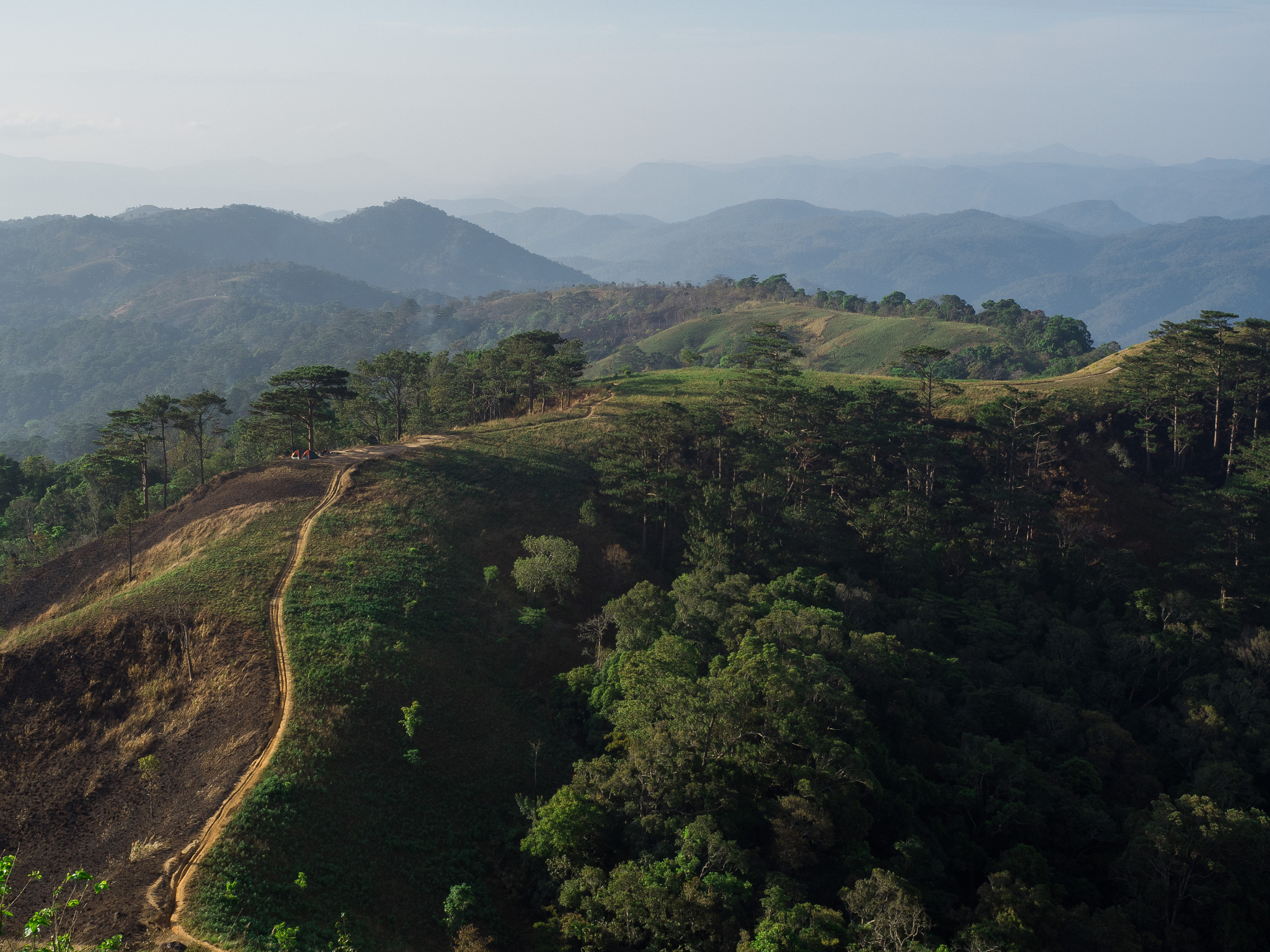 Olympus OM-D E-M5 II + Olympus M.Zuiko Digital ED 12-40mm F2.8 Pro sample photo. Trekking path in ta nang, vietnam photography