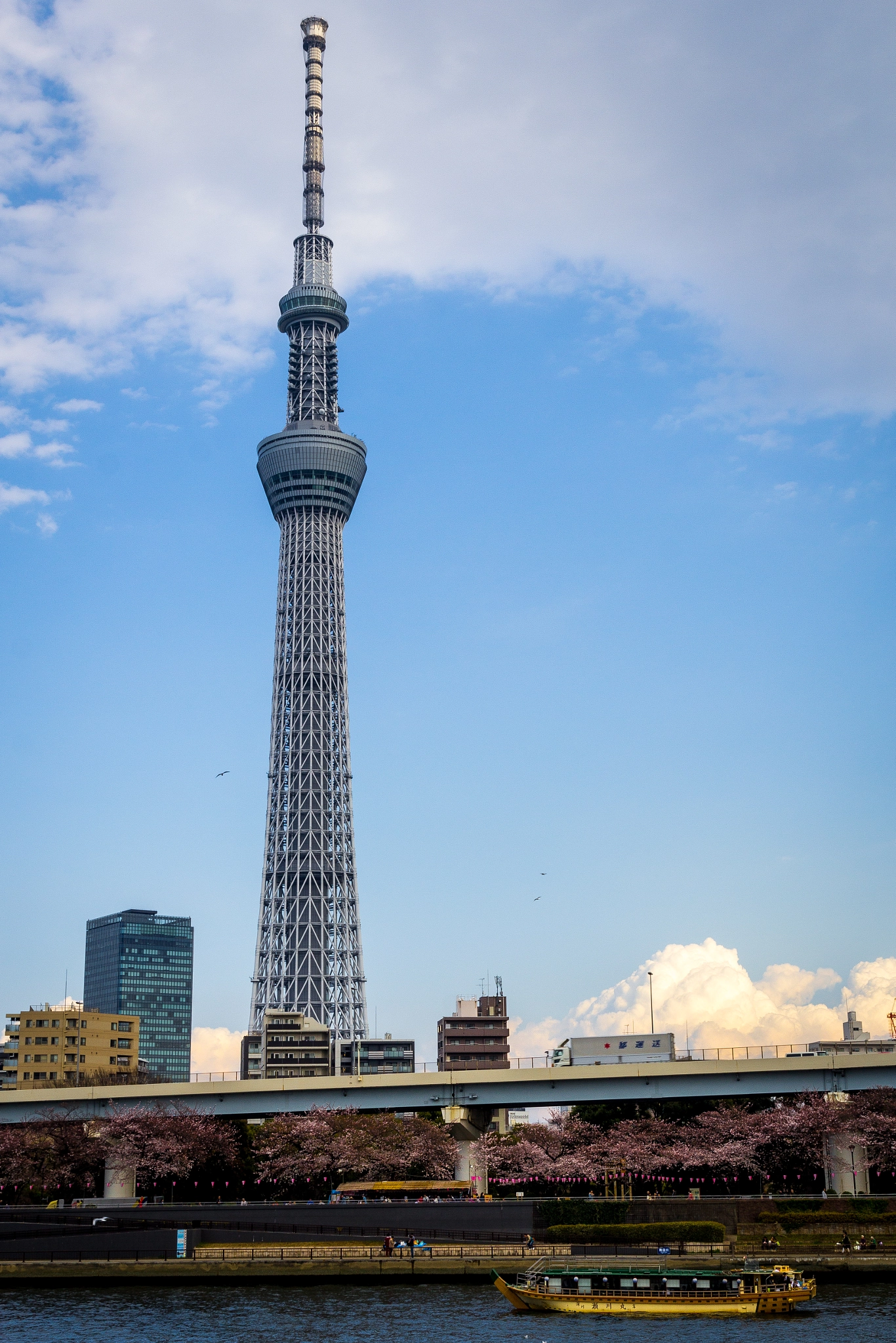 Canon EOS 60D sample photo. Tokyo sky tree 東京スカイツリー photography