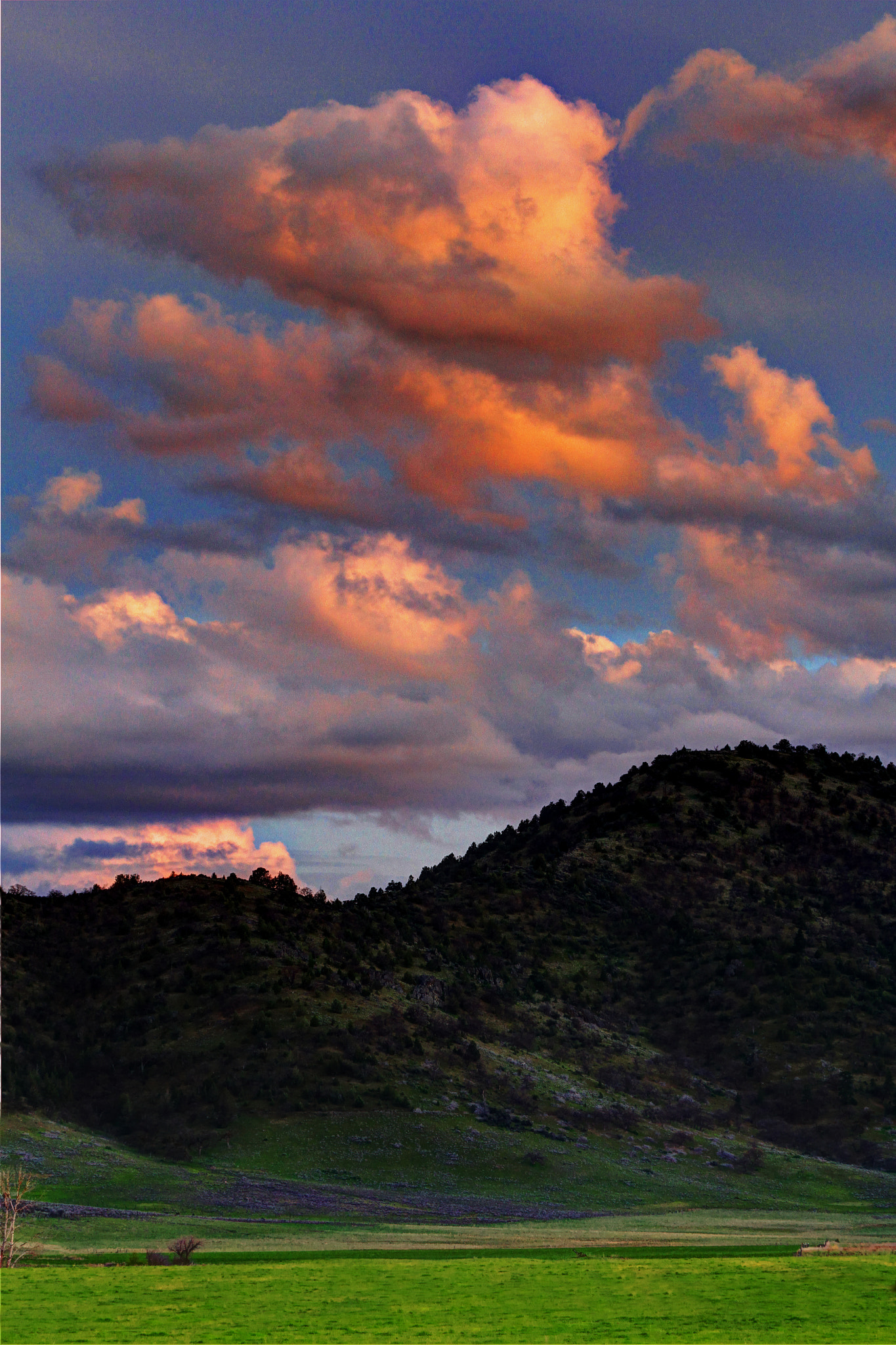 Canon EF 100-400mm F4.5-5.6L IS USM sample photo. Shasta valley sunset photography