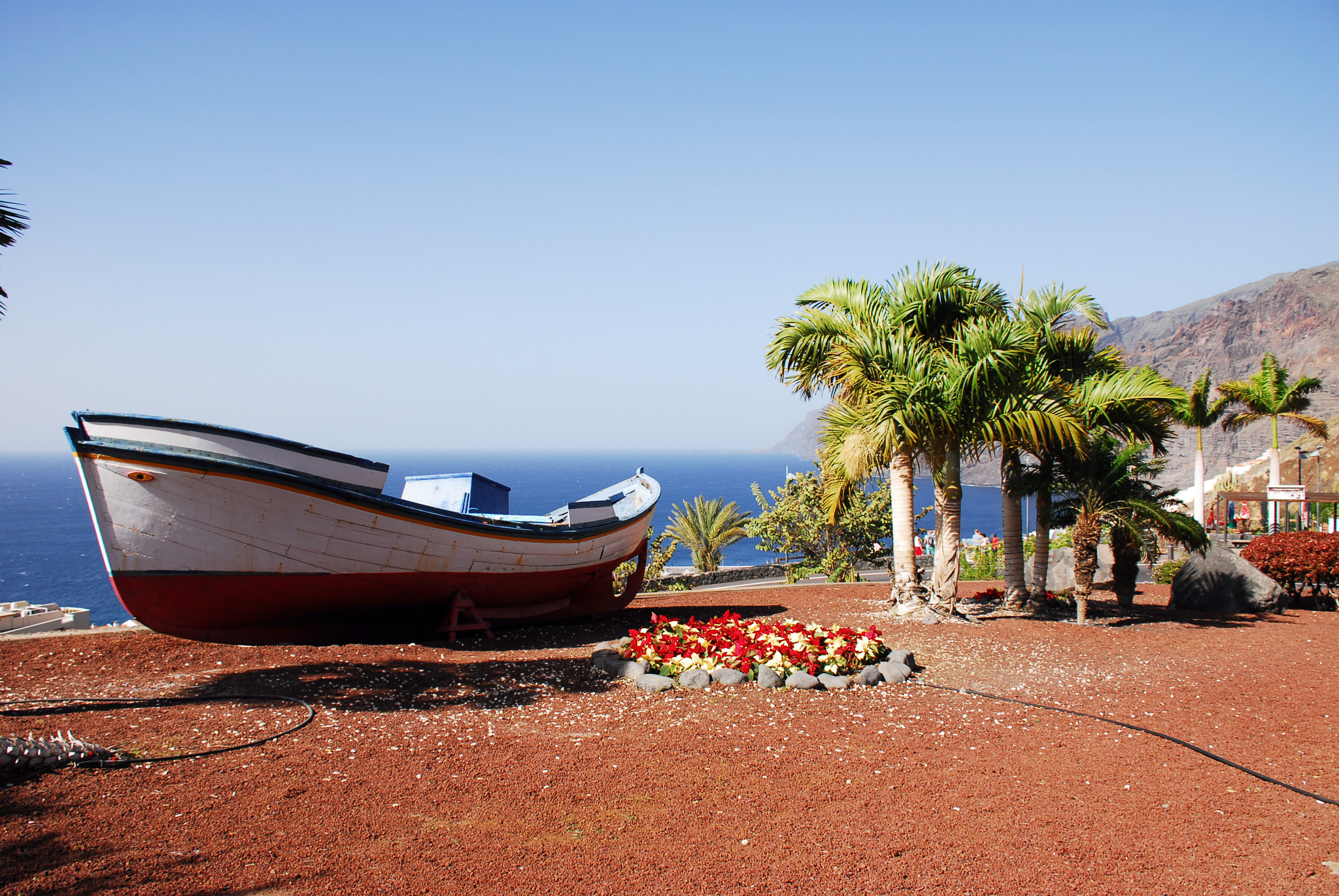 Nikon D200 sample photo. Palm boat photography