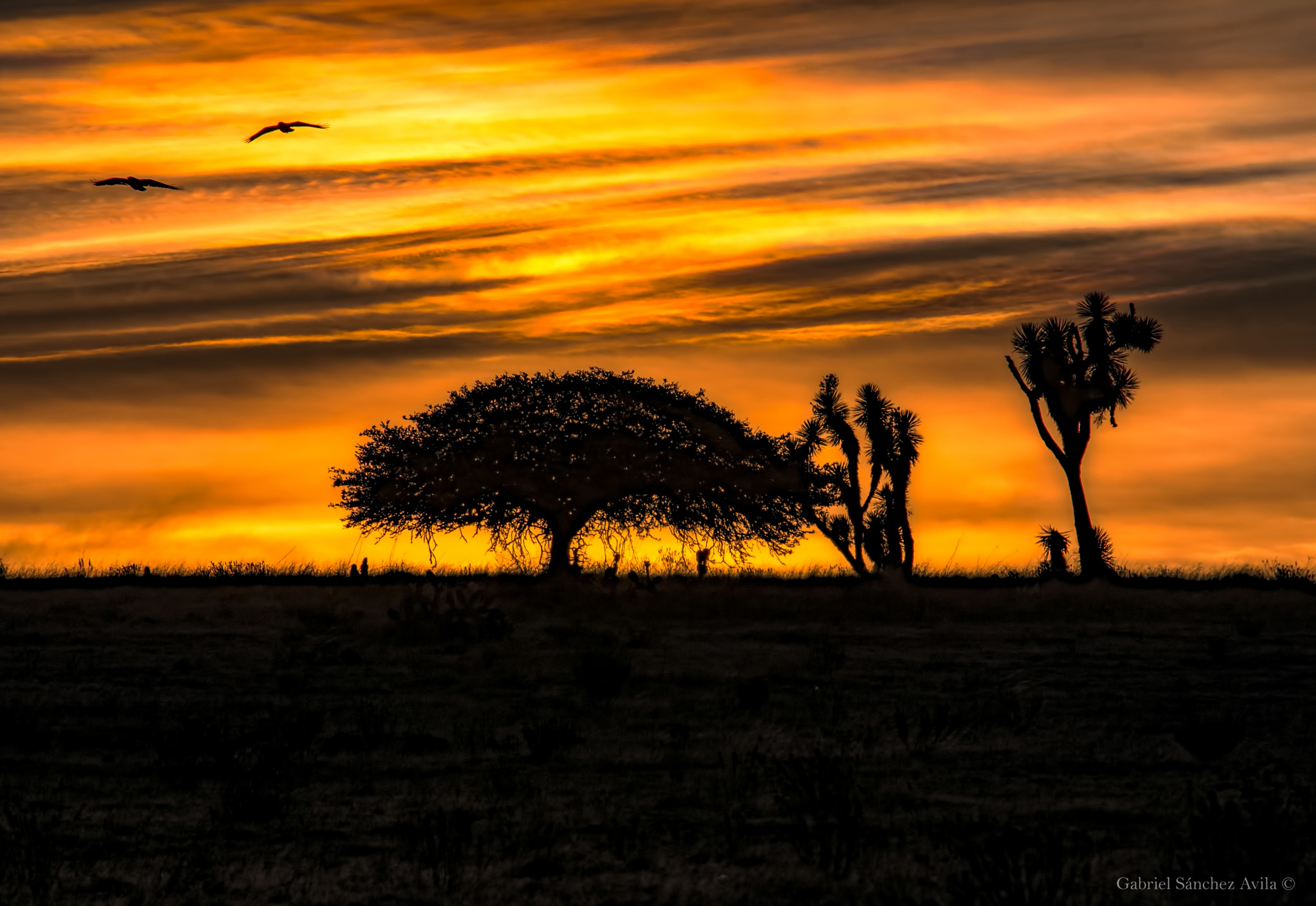 Nikon D7200 sample photo. Contraluz (backlighting) photography