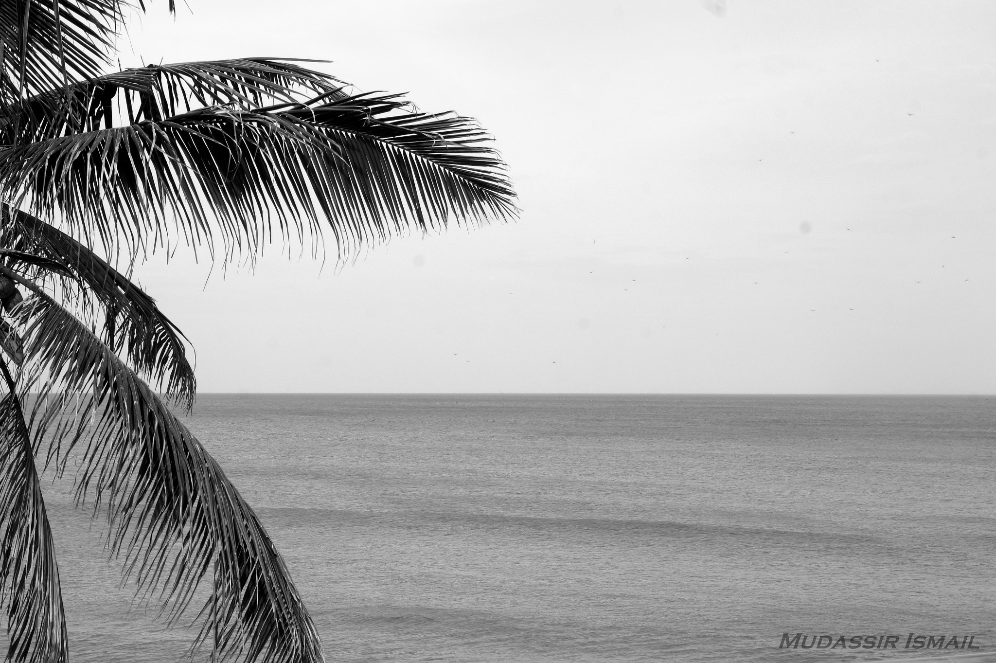 Sony Alpha NEX-3 + Sony E 18-55mm F3.5-5.6 OSS sample photo. Seascape photography