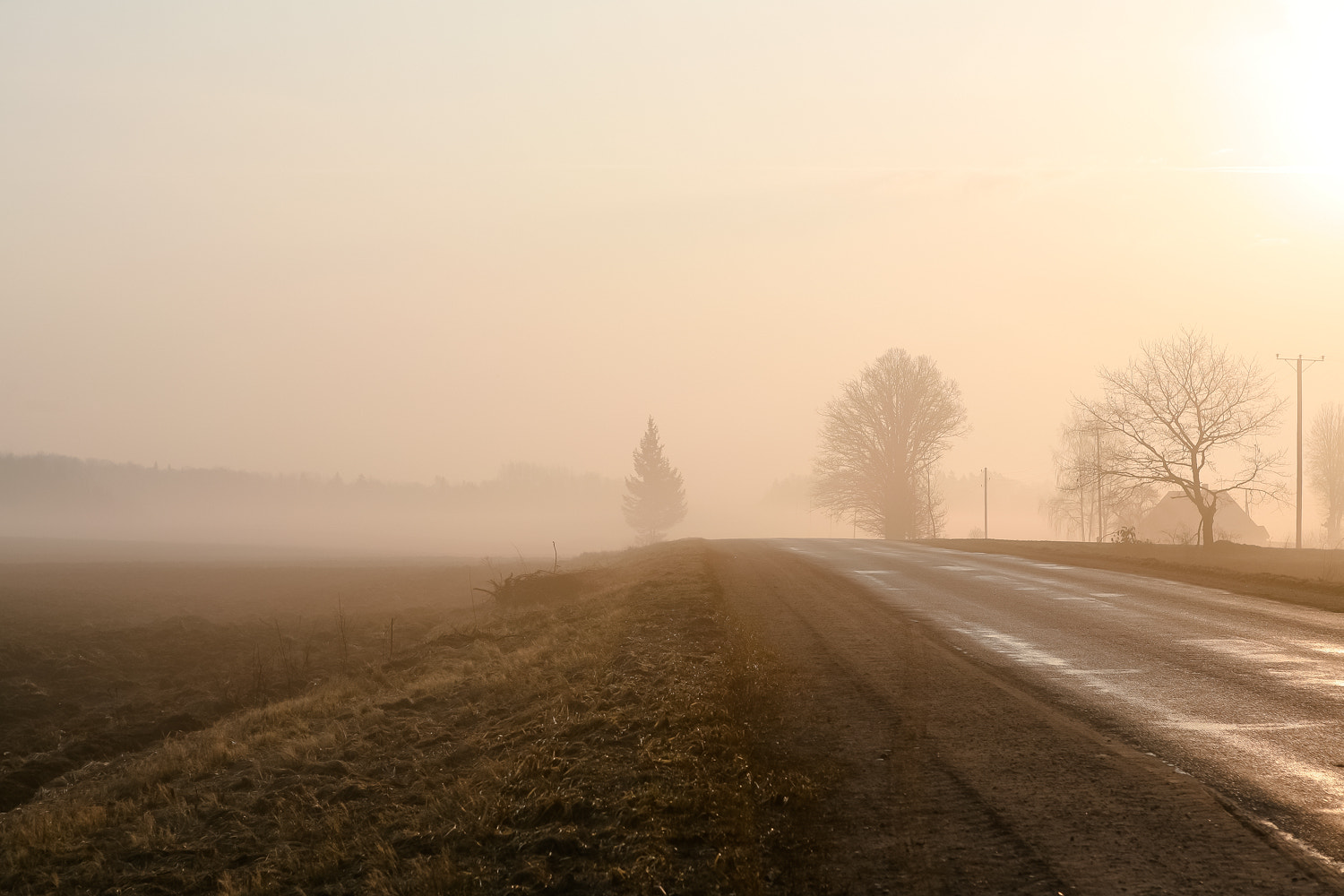 Canon EOS 5D + Canon EF 24-70mm F2.8L USM sample photo. Morning nothing photography