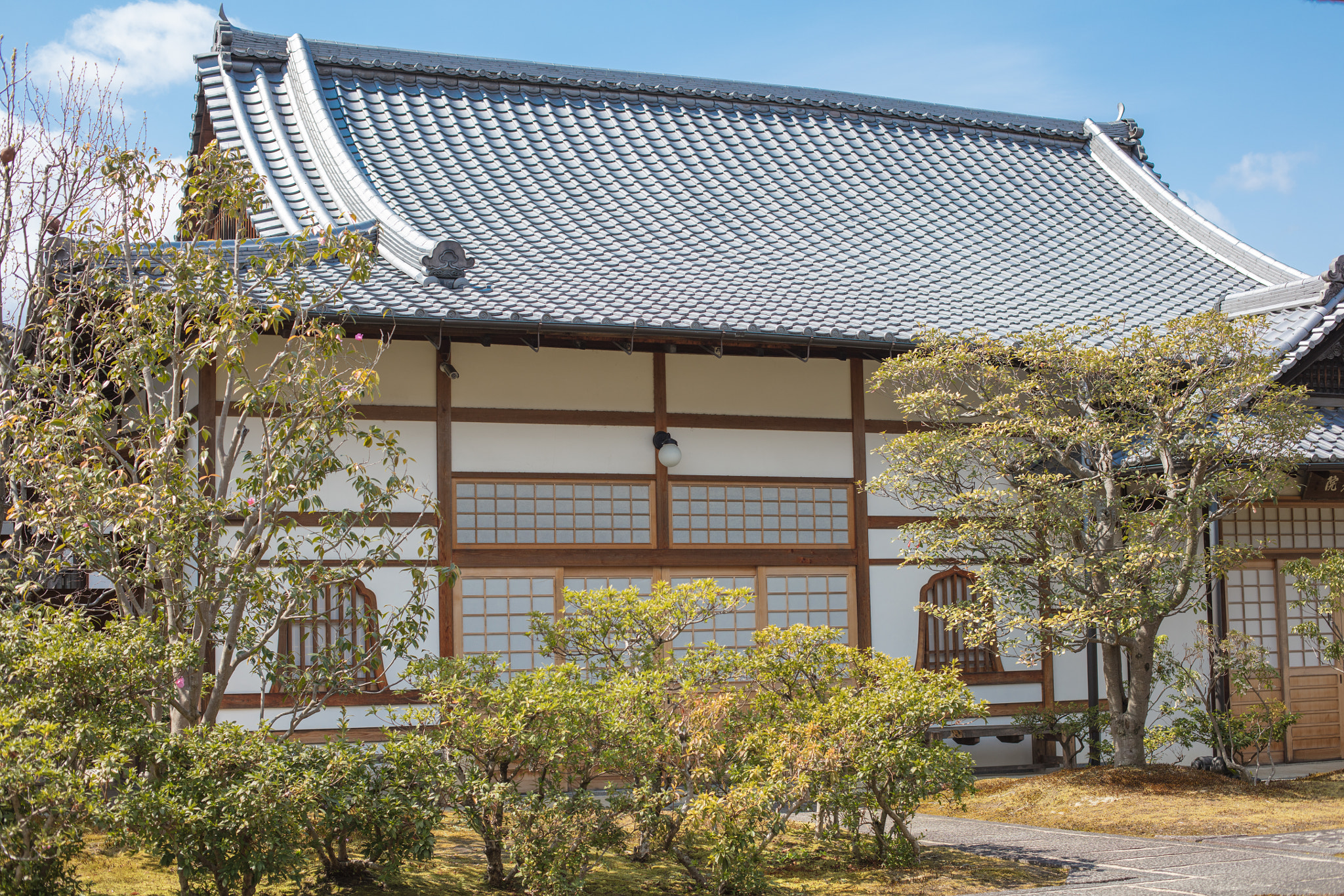 Canon EOS 5DS R sample photo. A photography