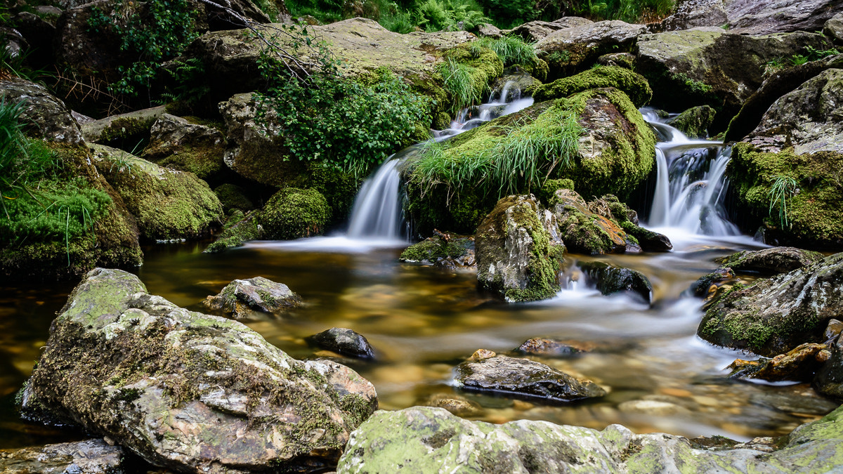 Nikon D800 + Nikon AF-S Nikkor 24mm F1.4G ED sample photo. River dargle photography